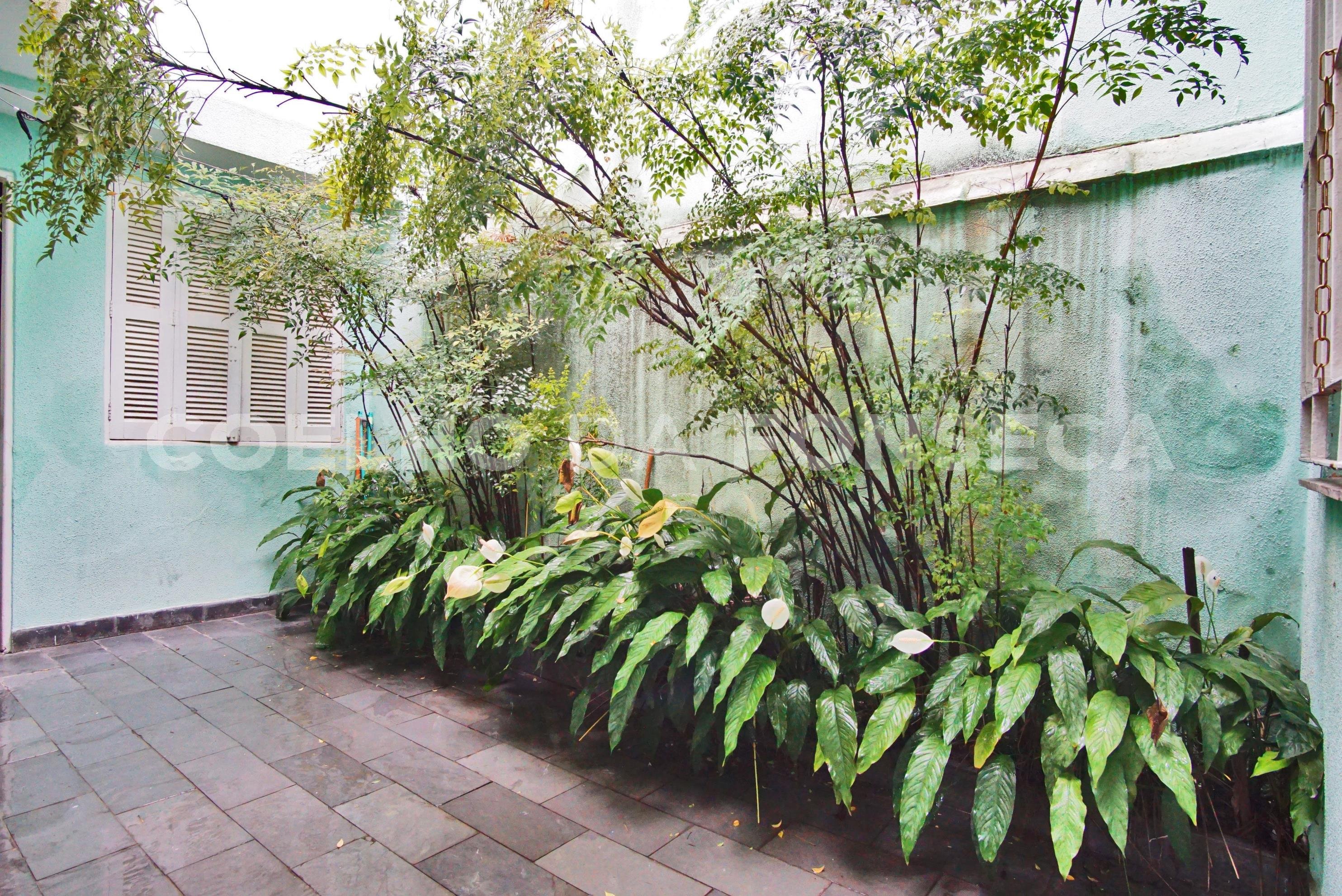 Jardim
