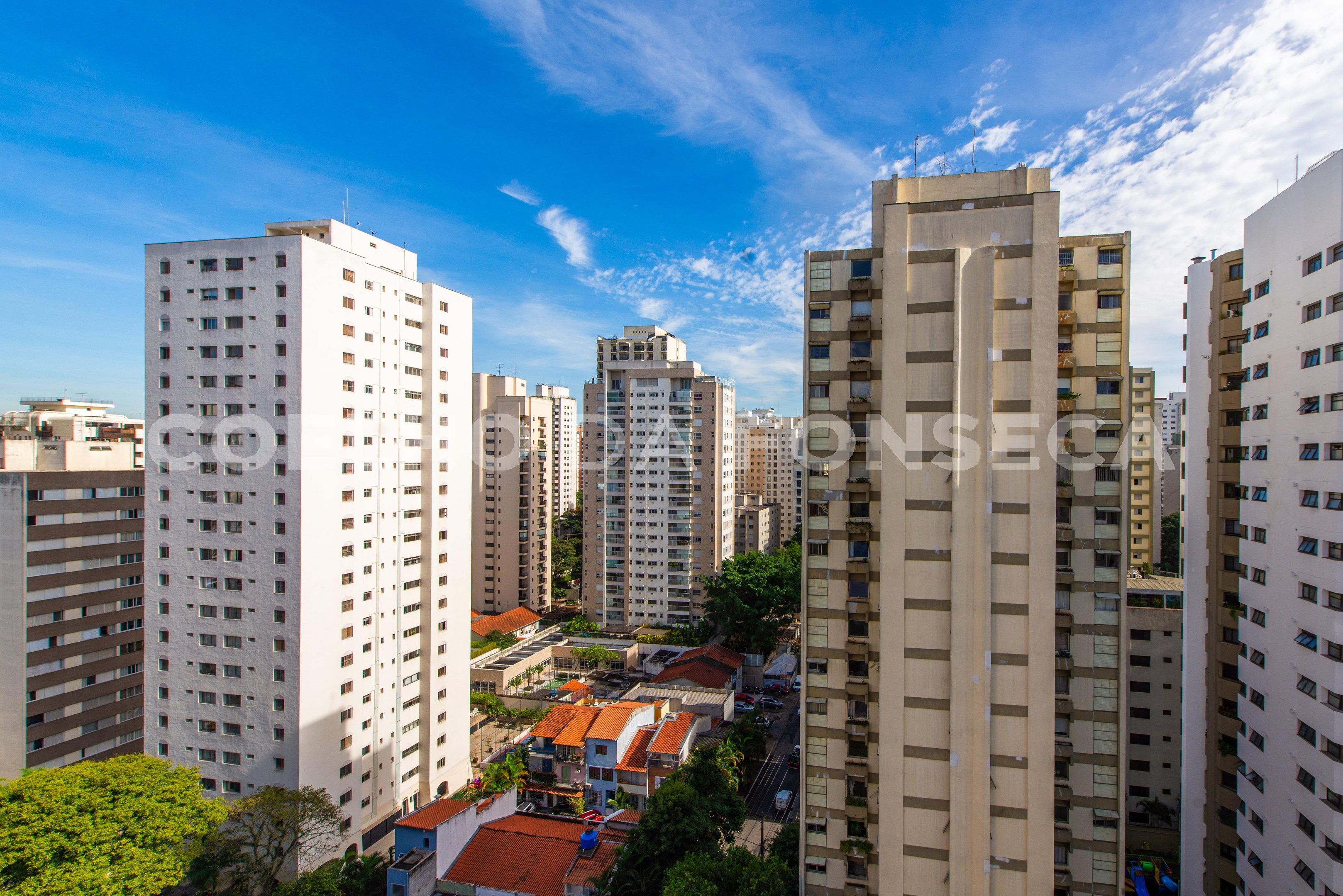 Vista