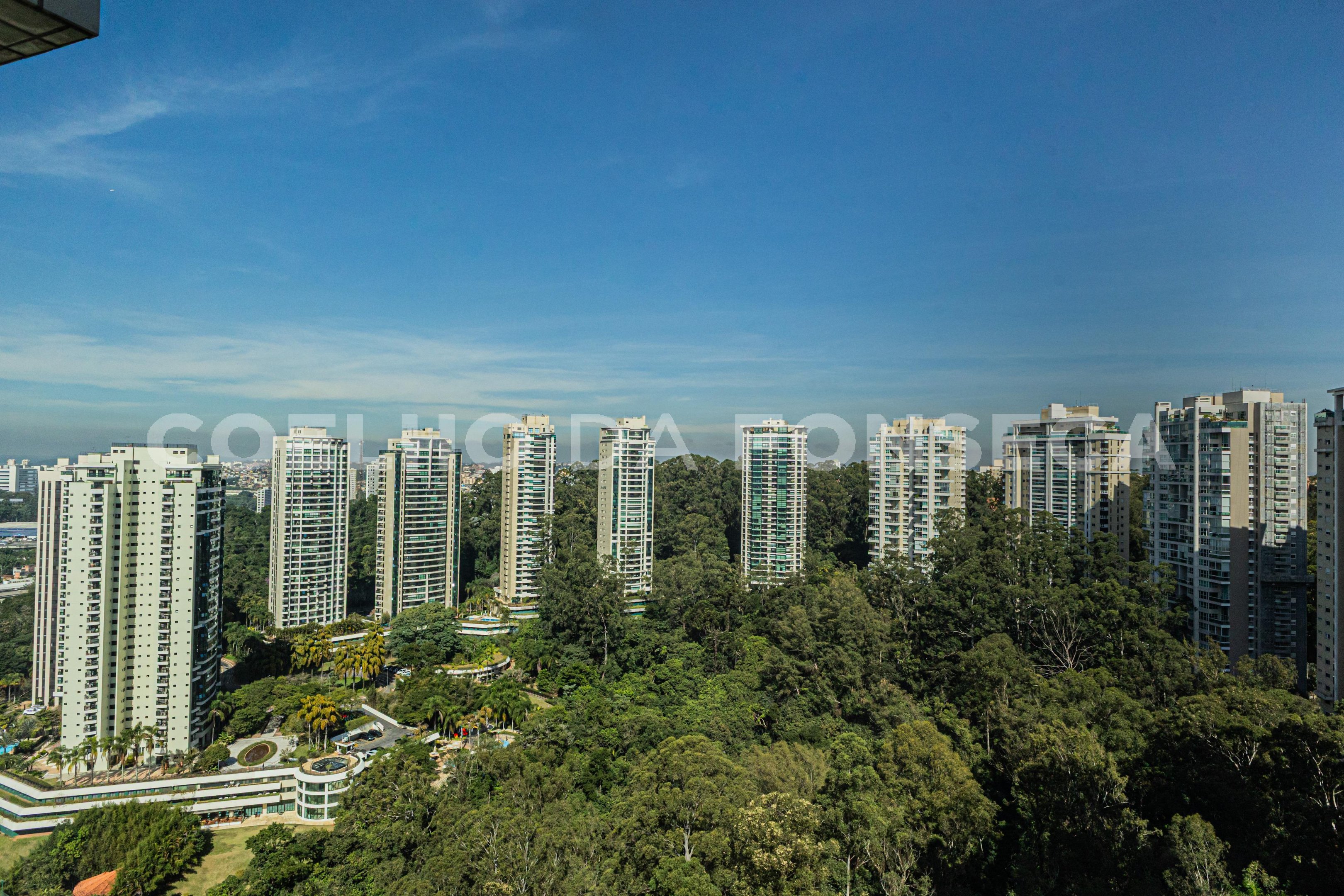 Vista