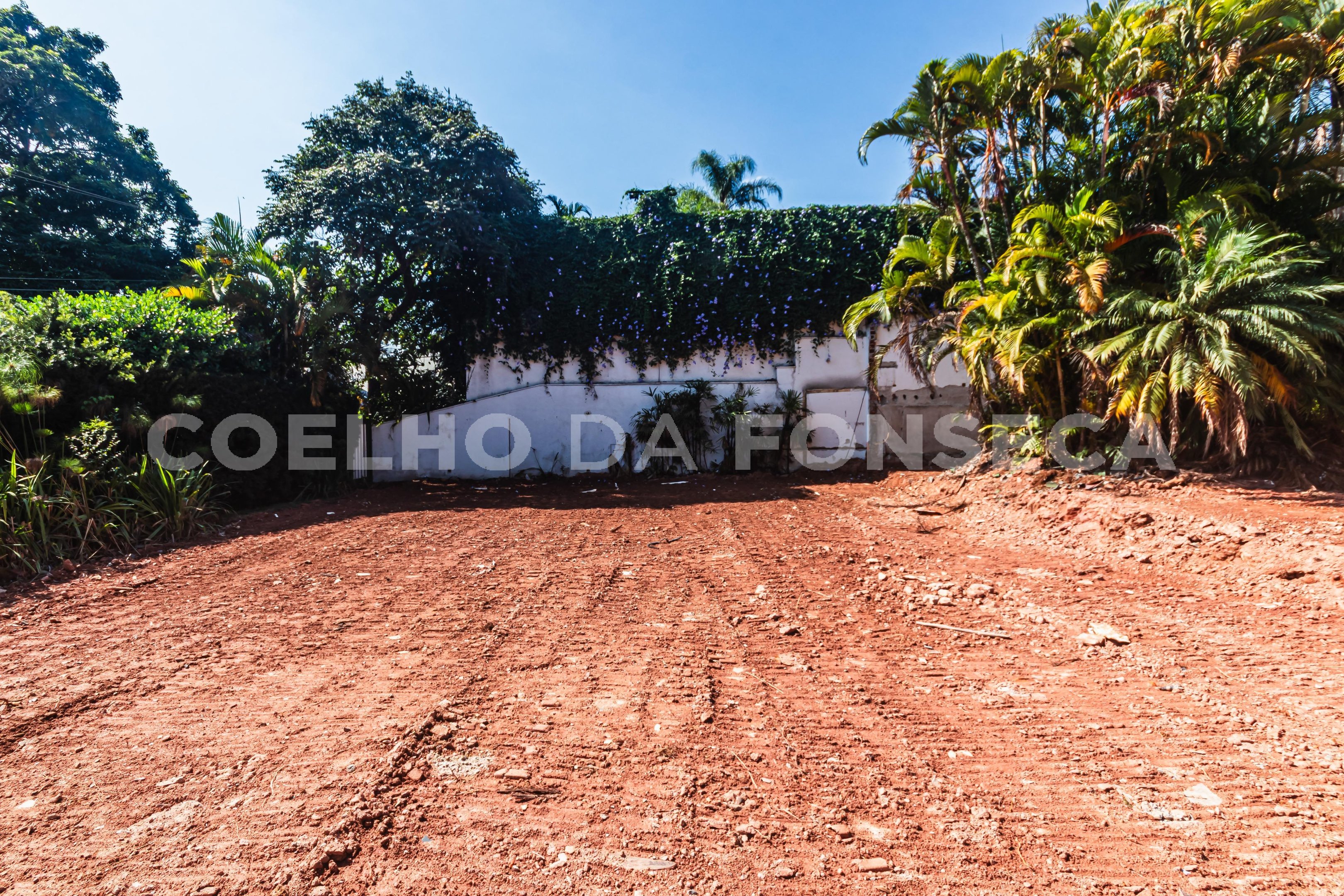 Terreno