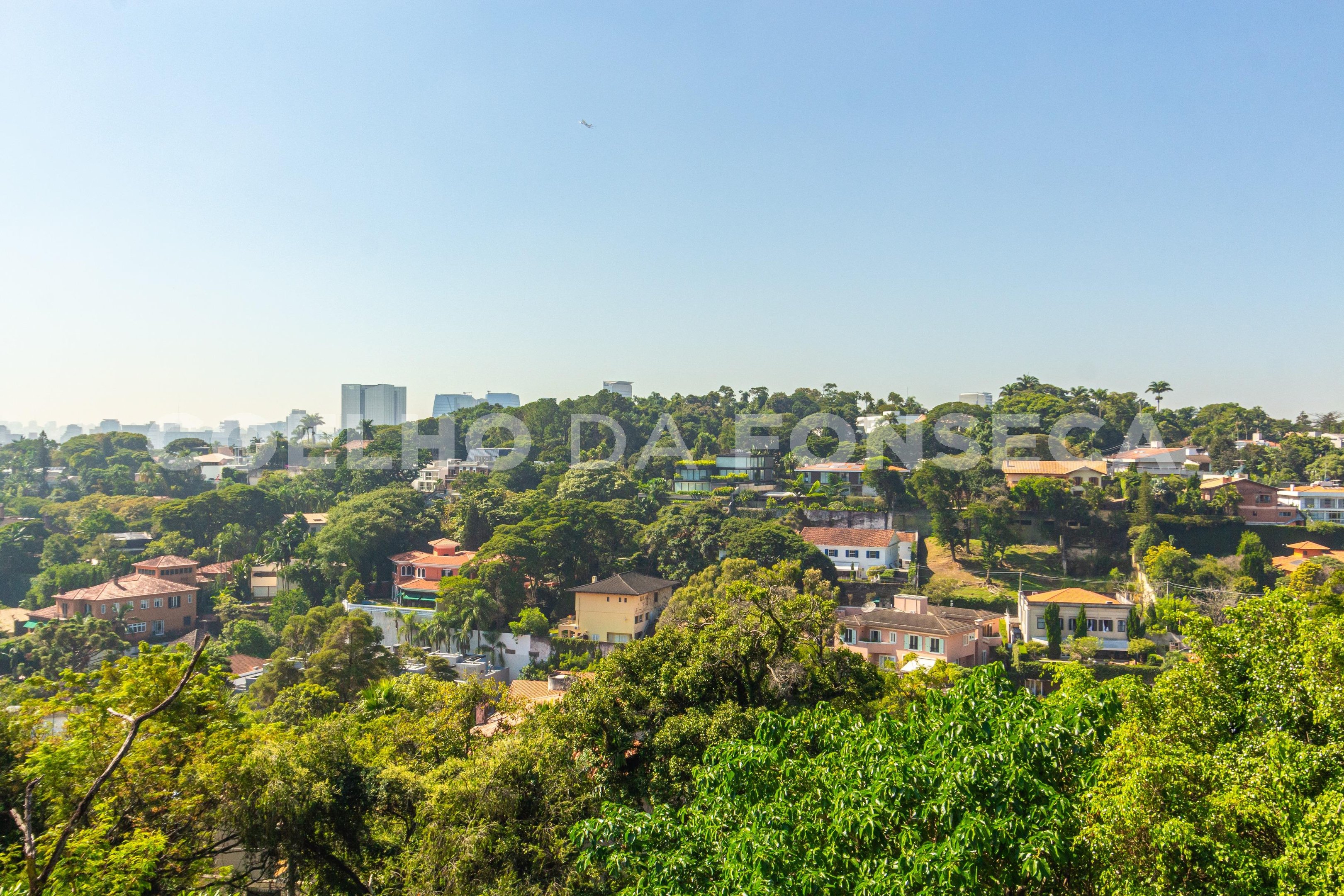 Vista