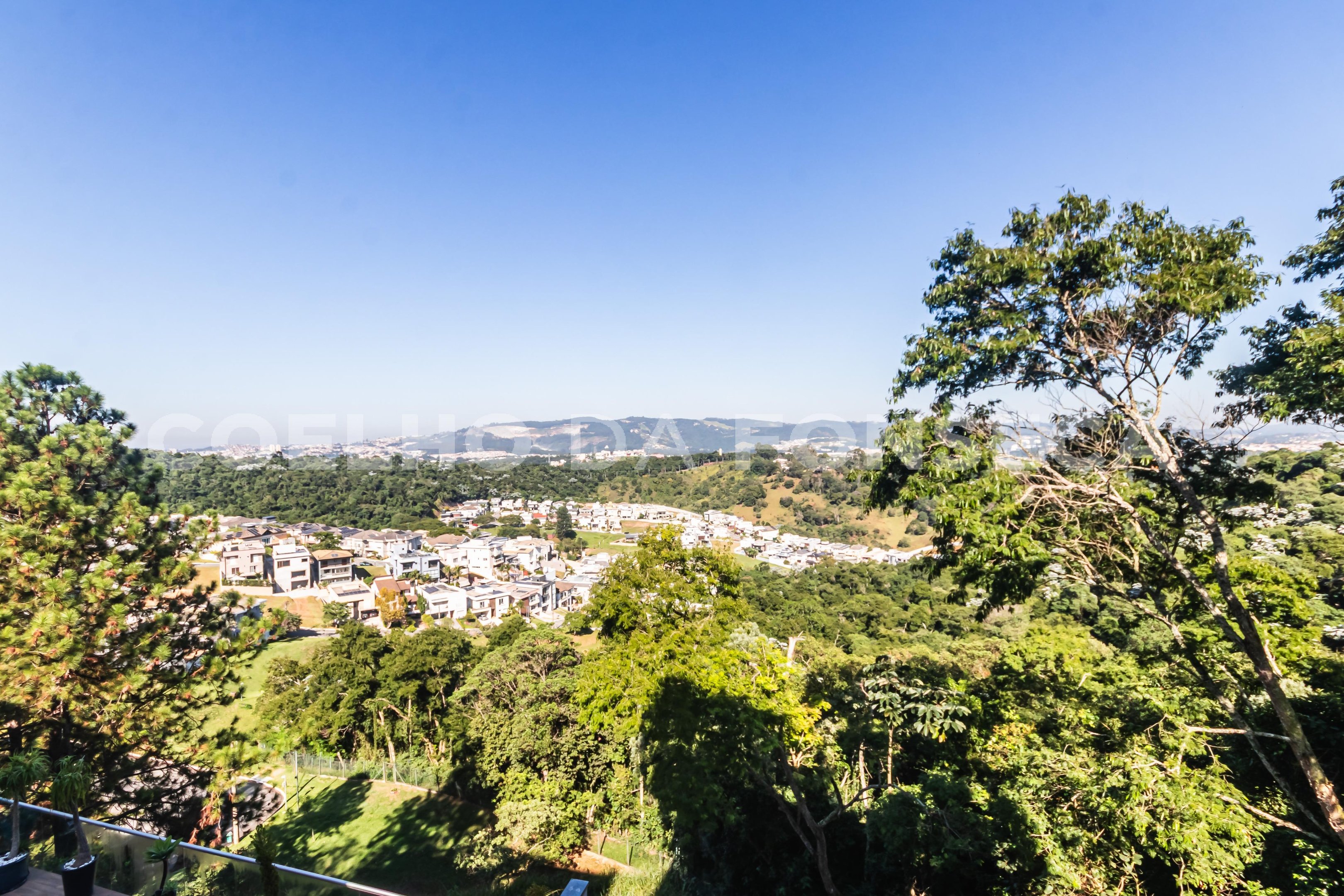 Vista