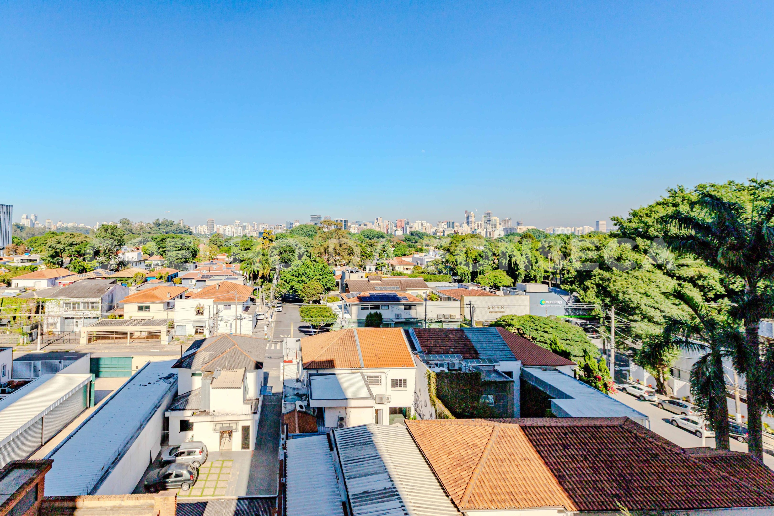 Vista