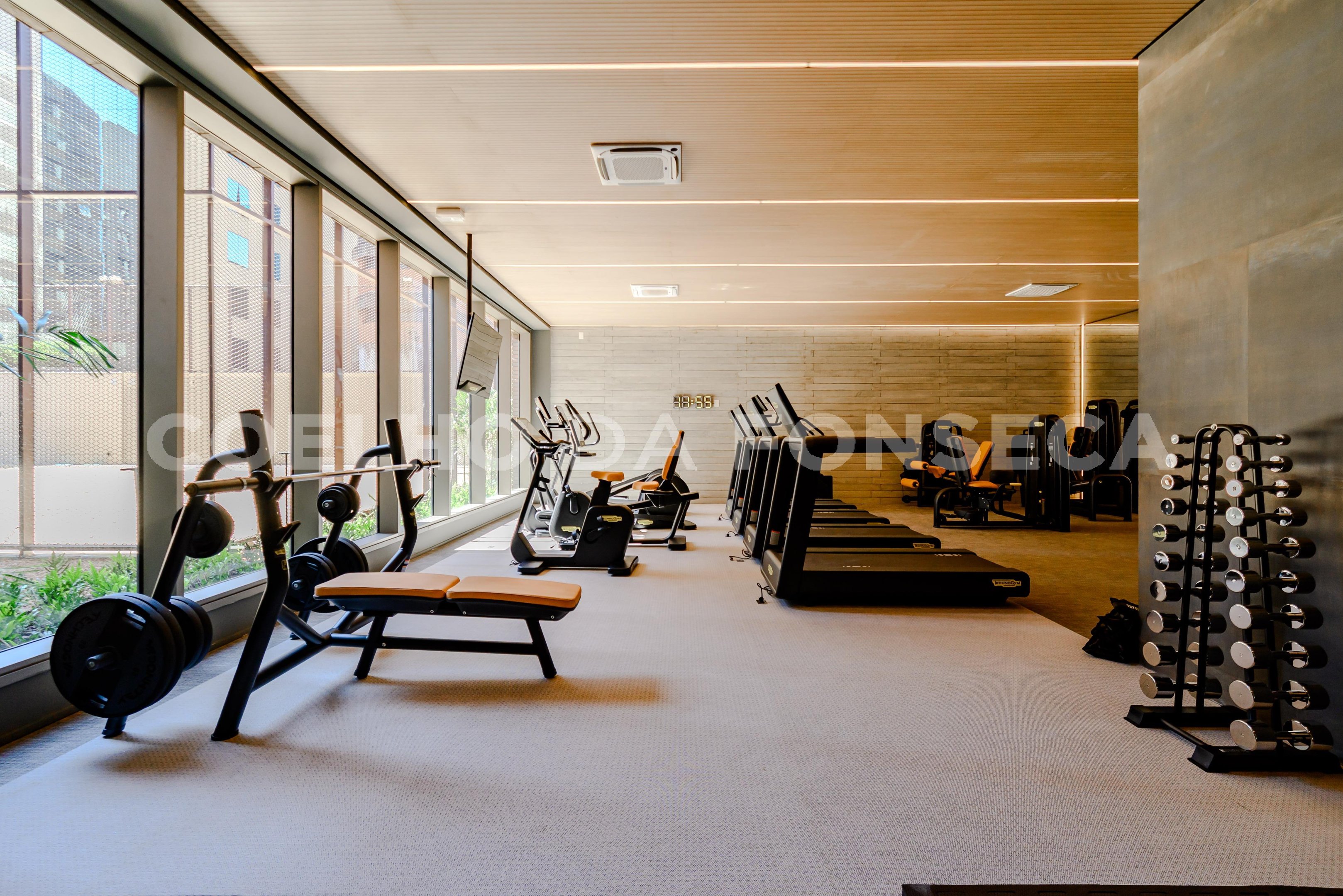Fitness