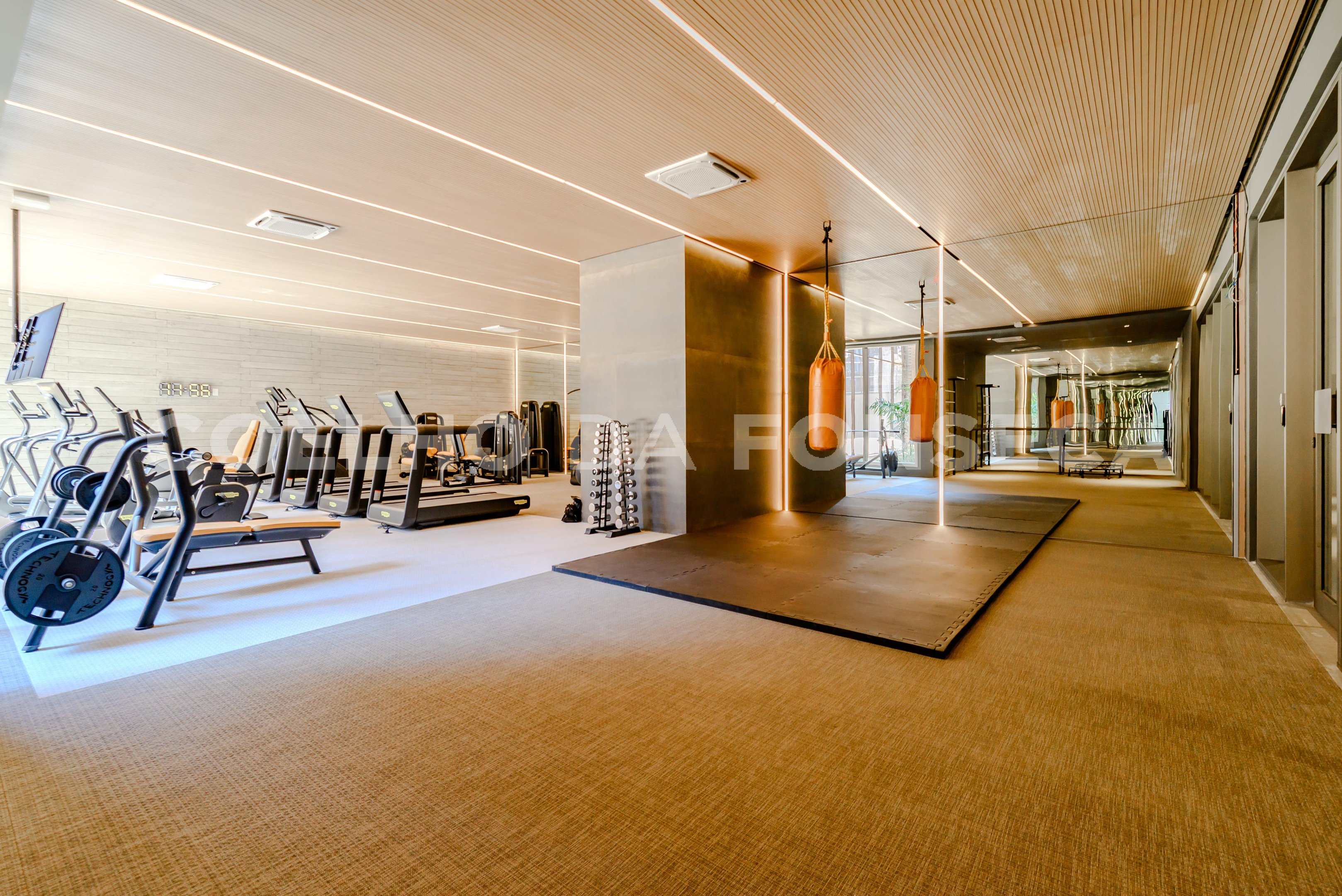 Fitness