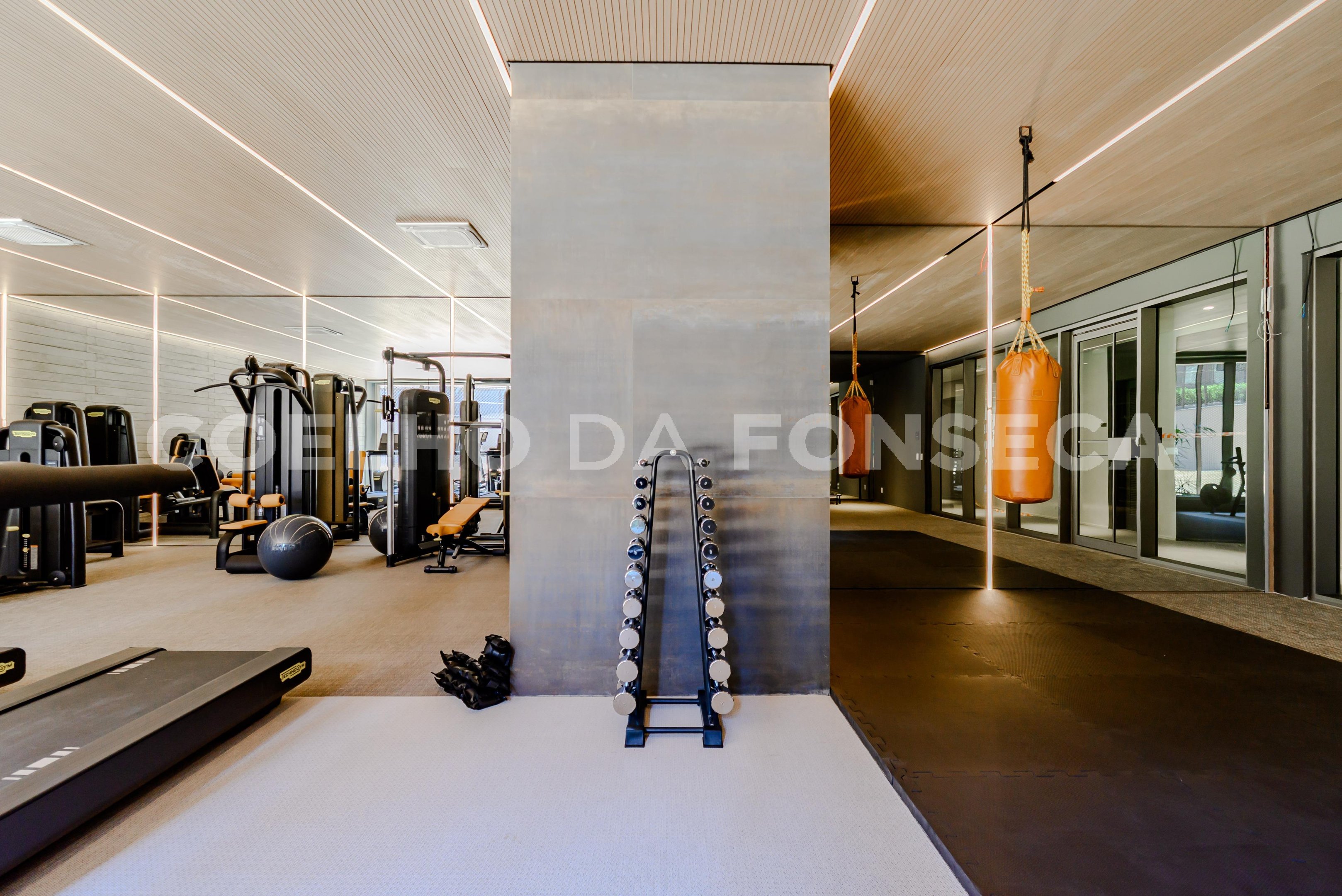 Fitness