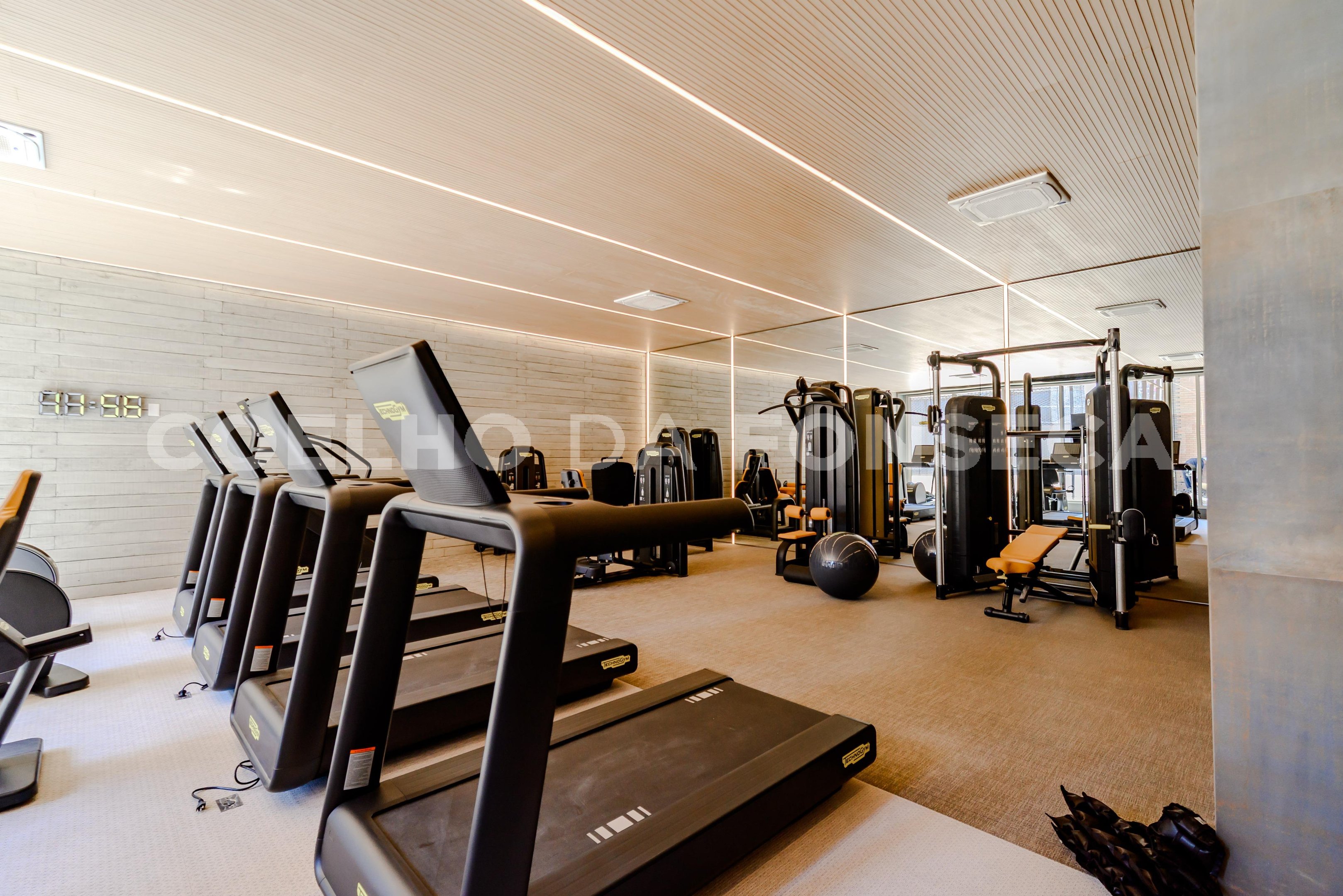 Fitness
