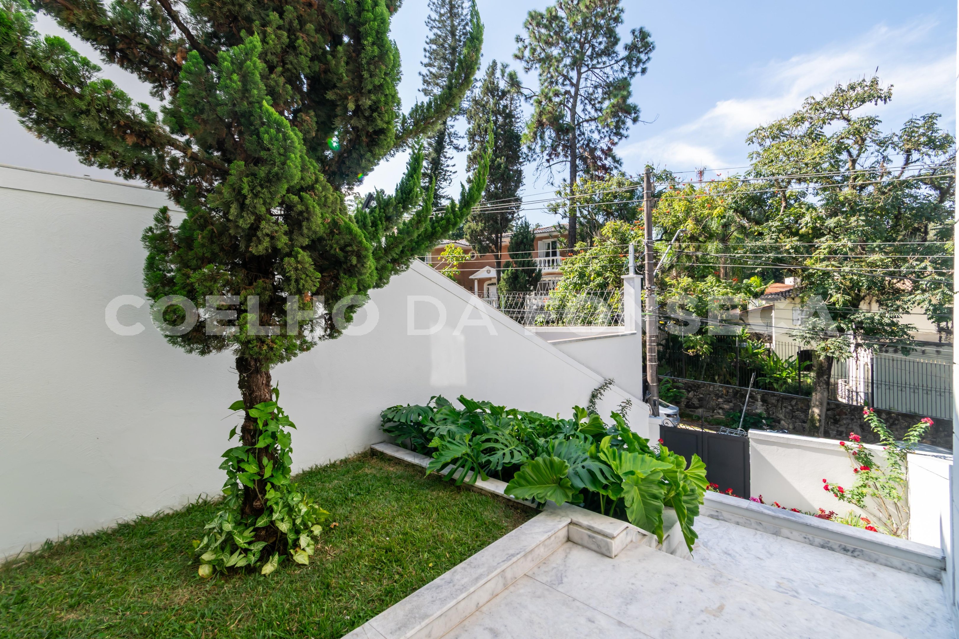 Jardim