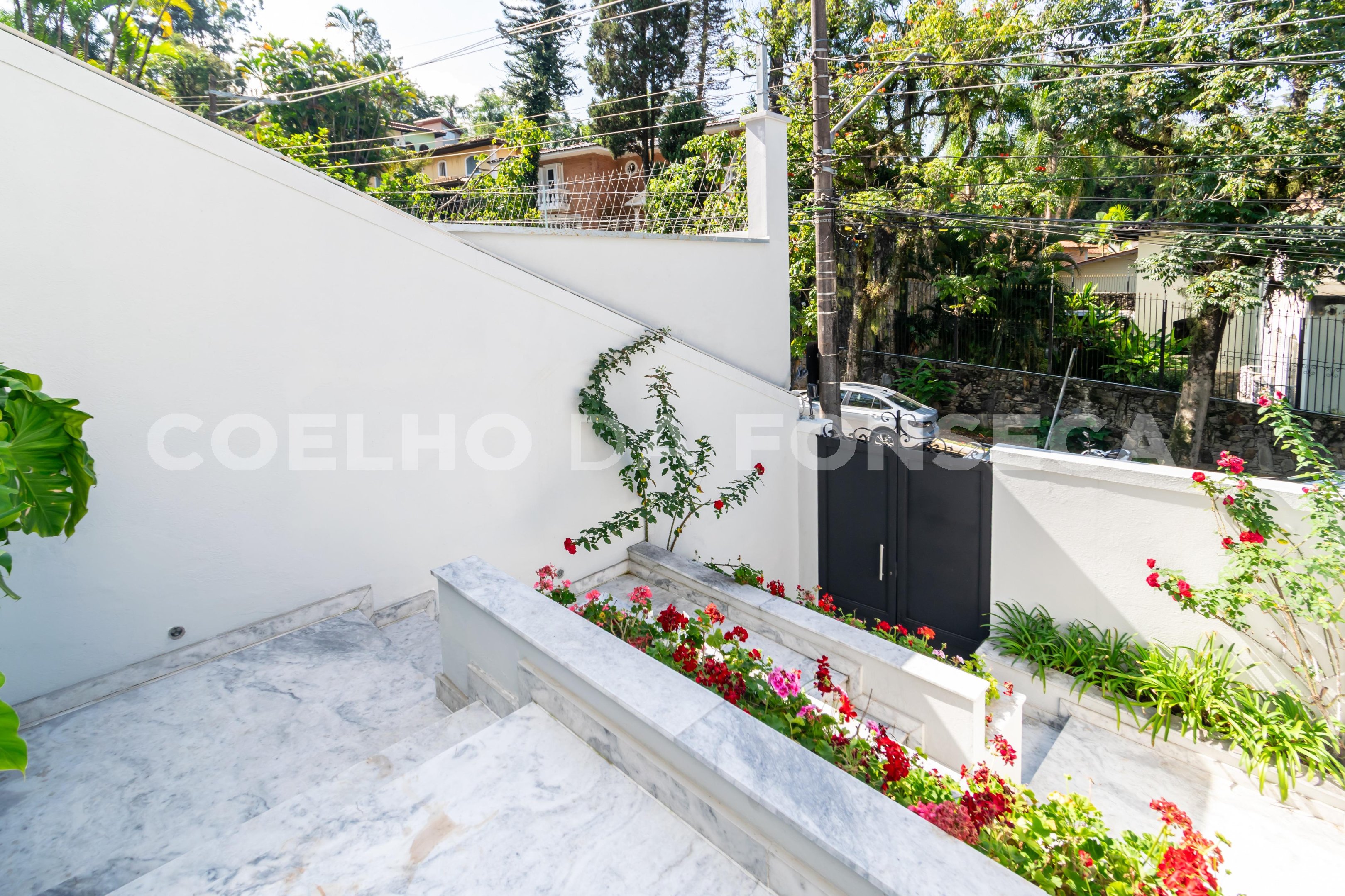 Jardim