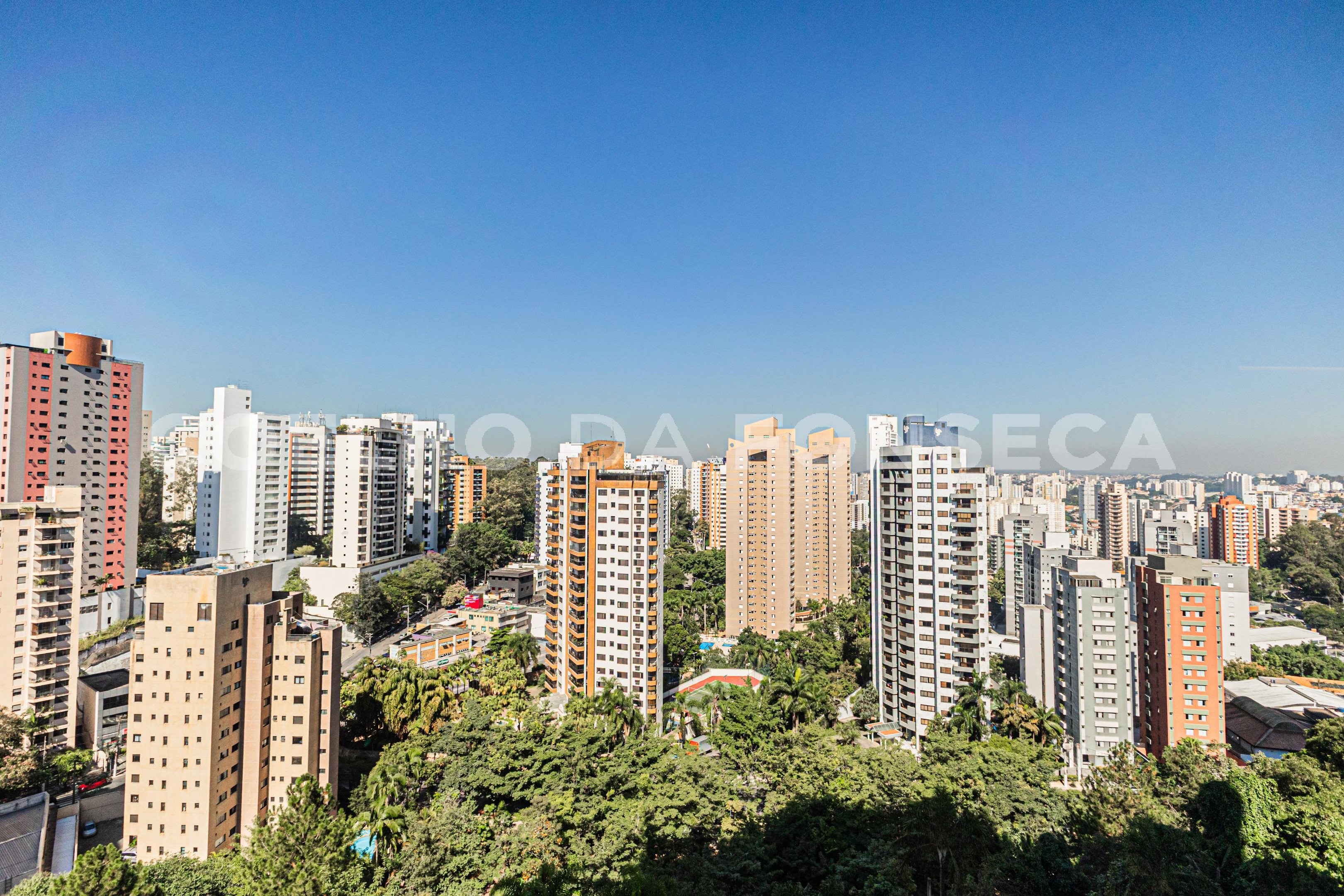 Vista