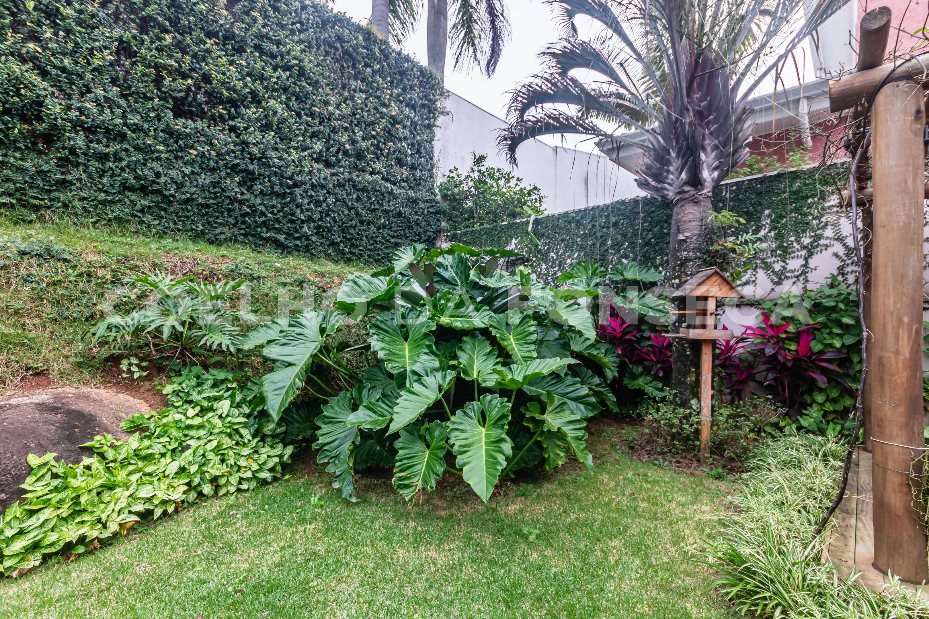 Jardim