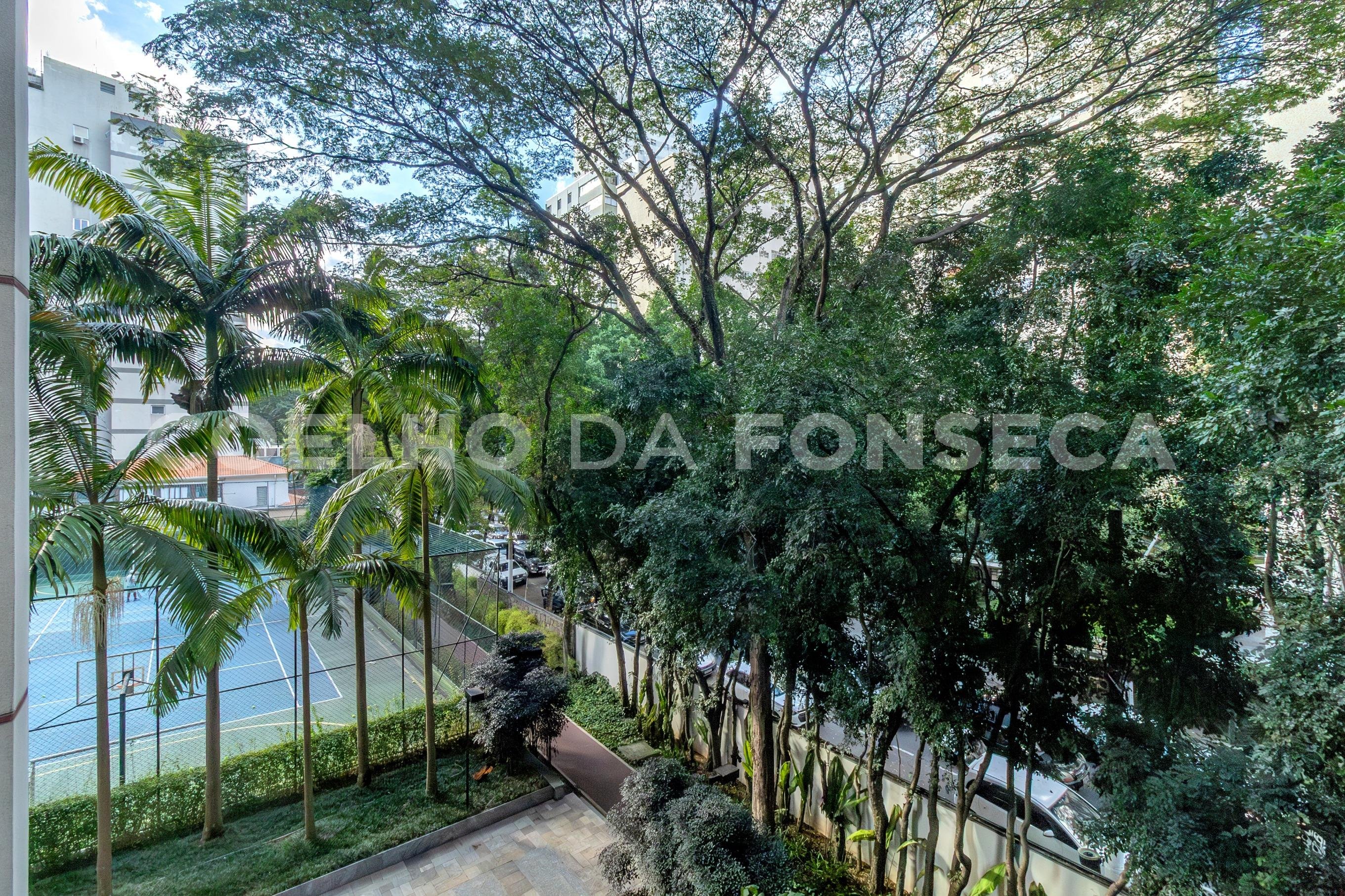 Vista