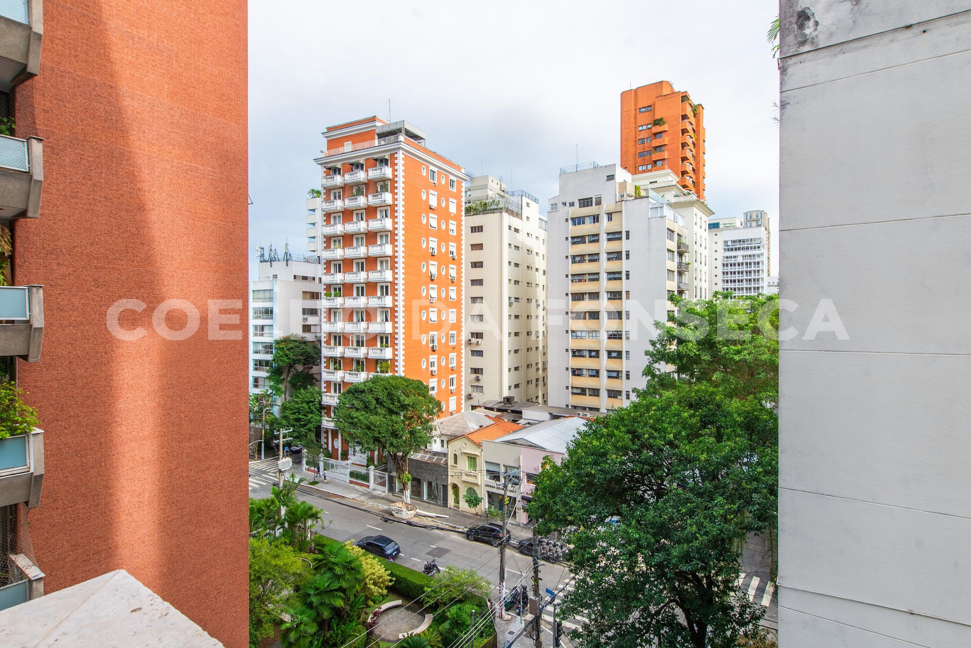 Vista