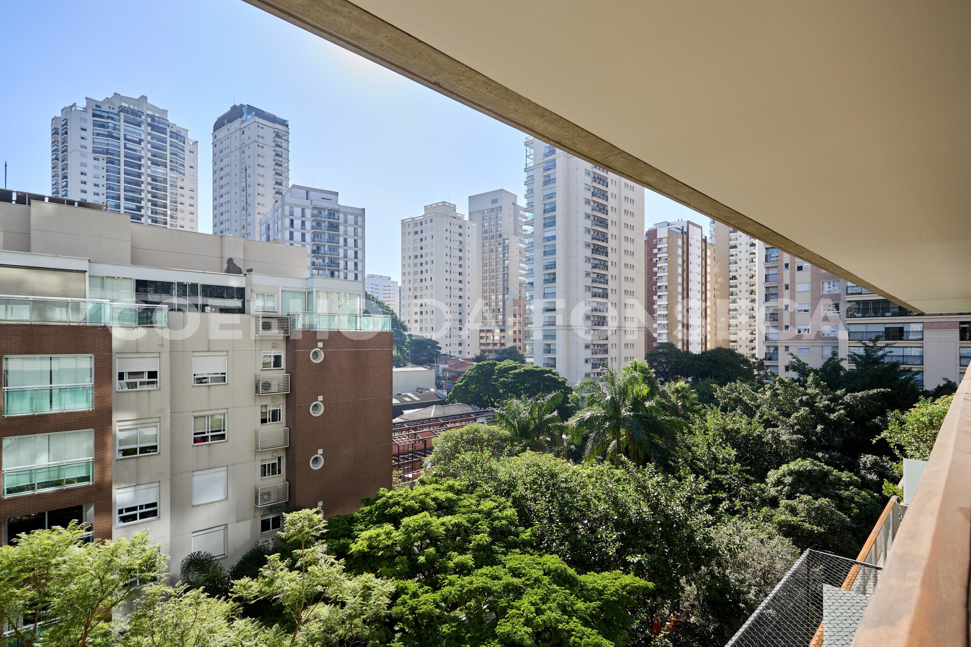 Vista