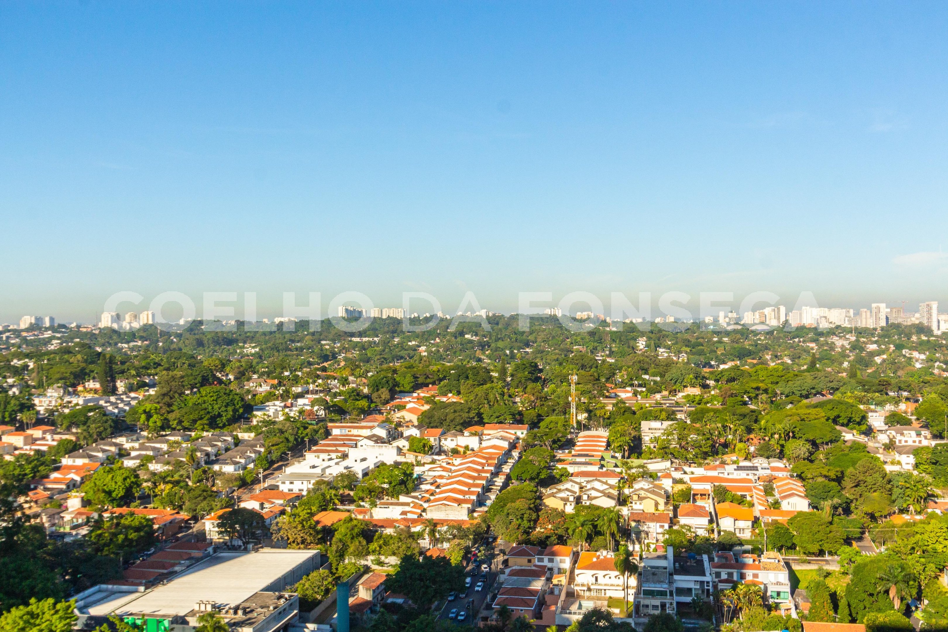 Vista