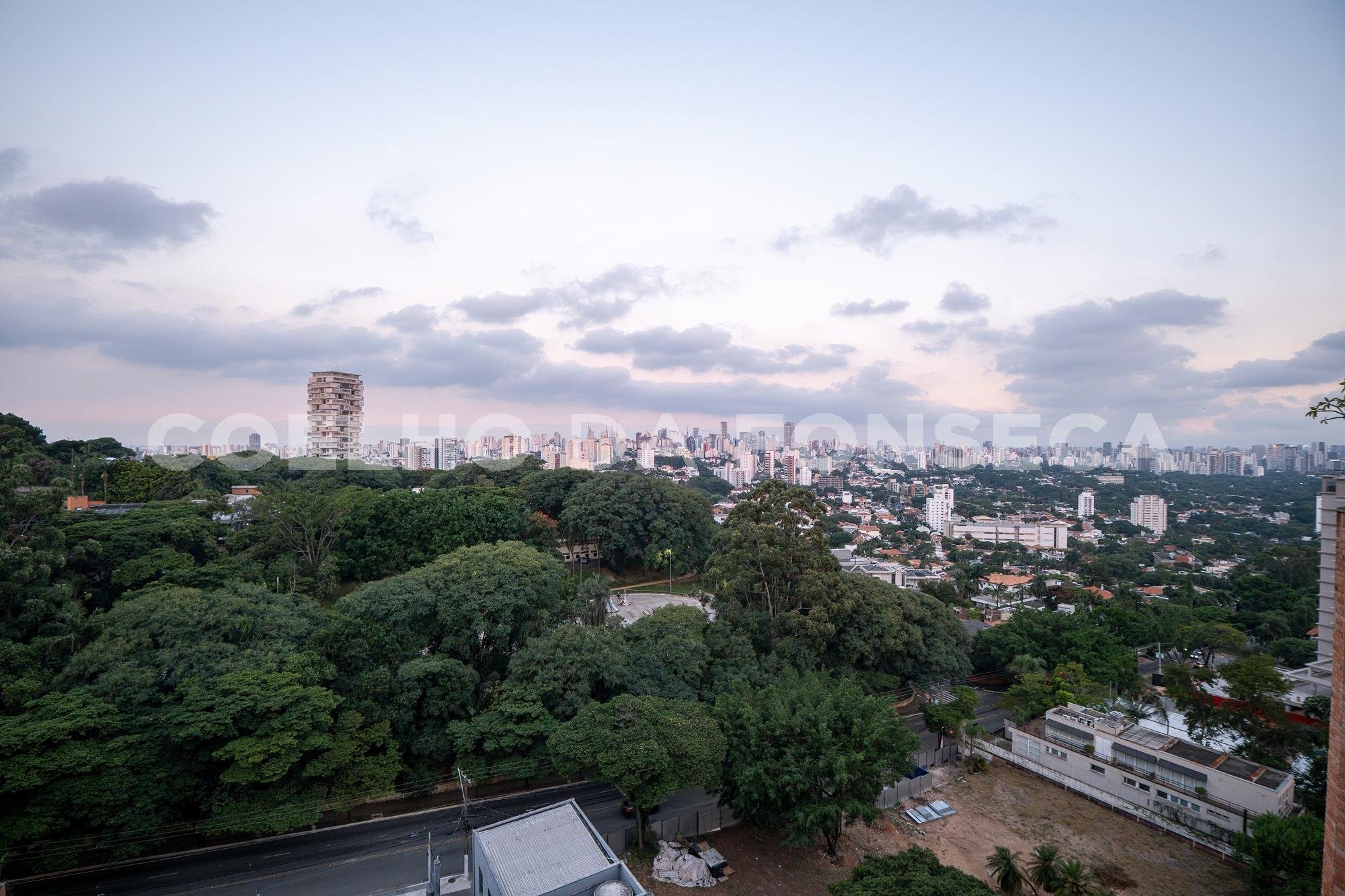 Vista