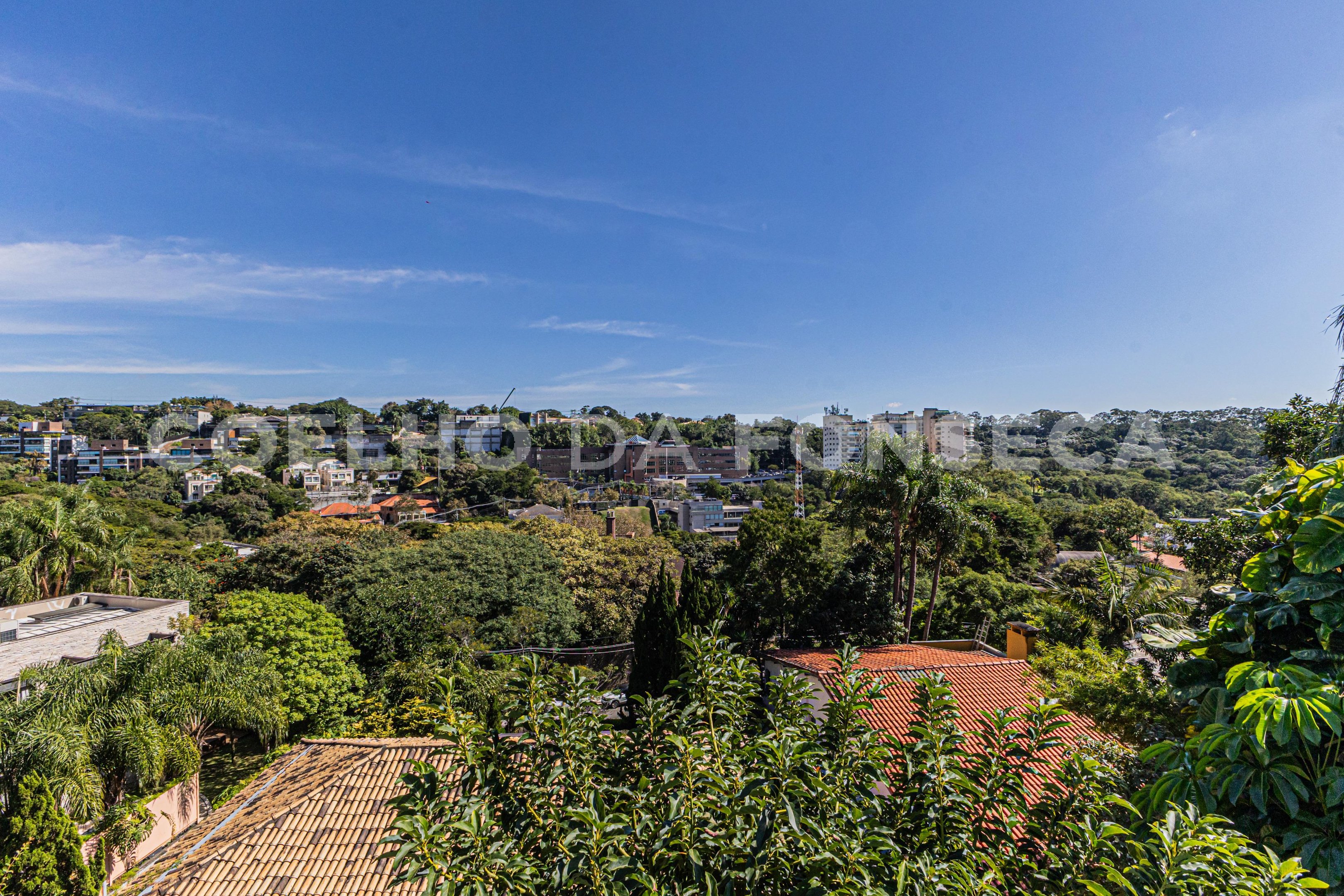 Vista