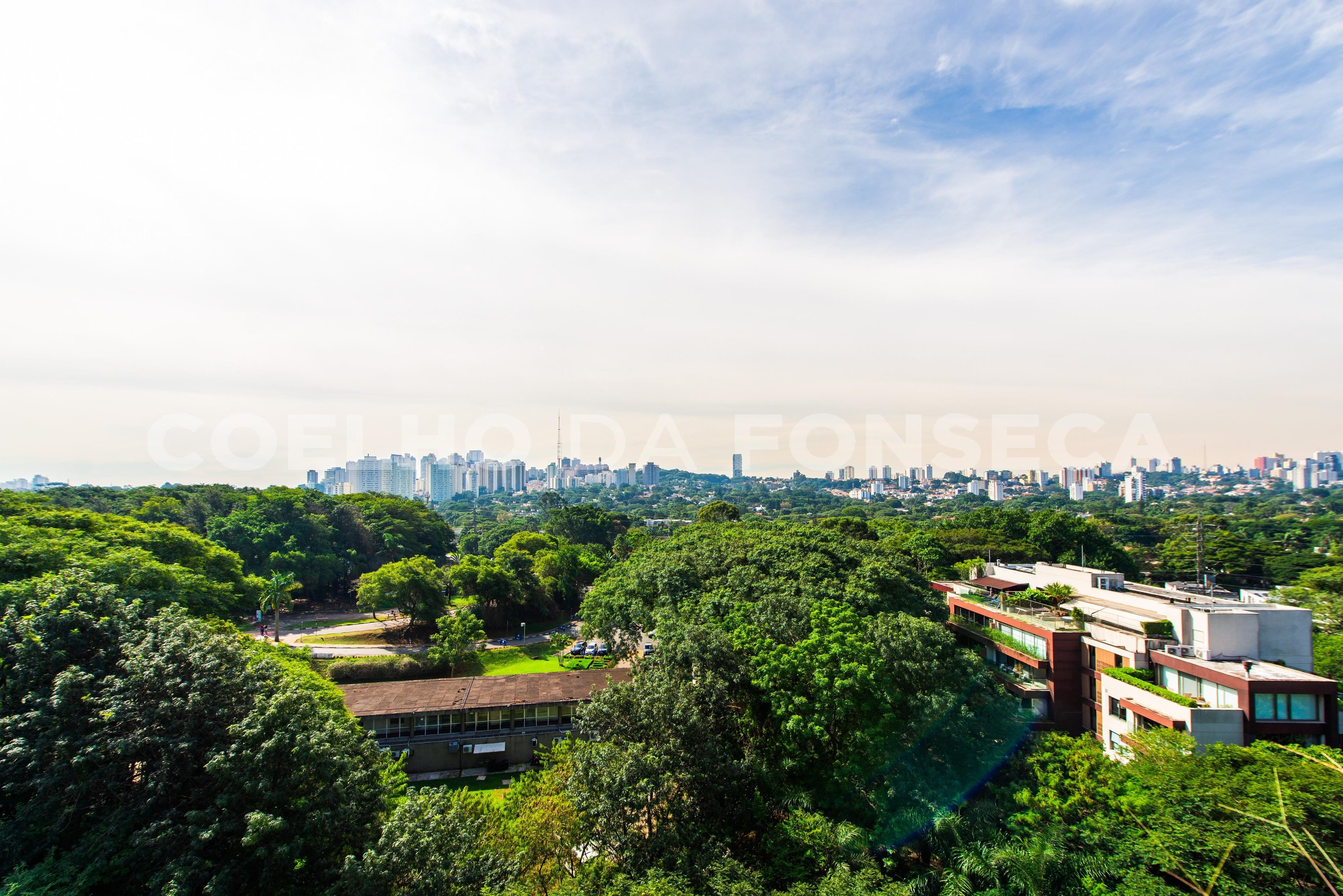 Vista