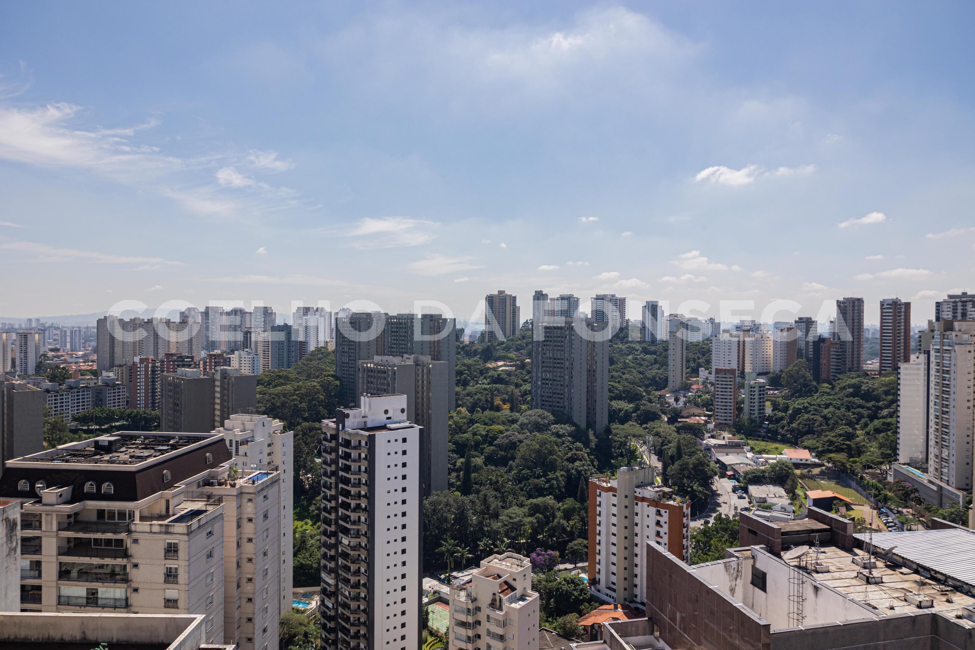 Vista