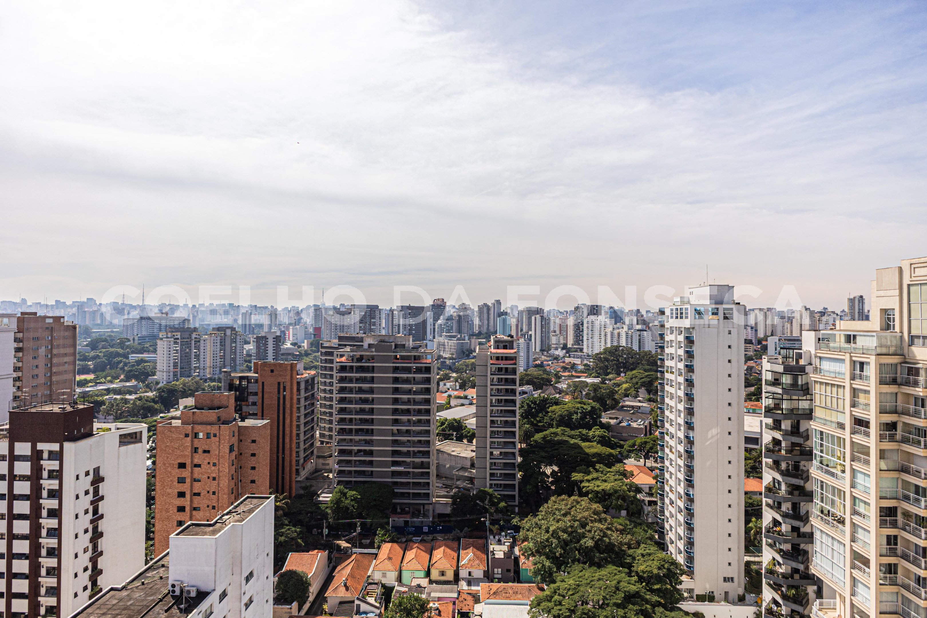 Vista