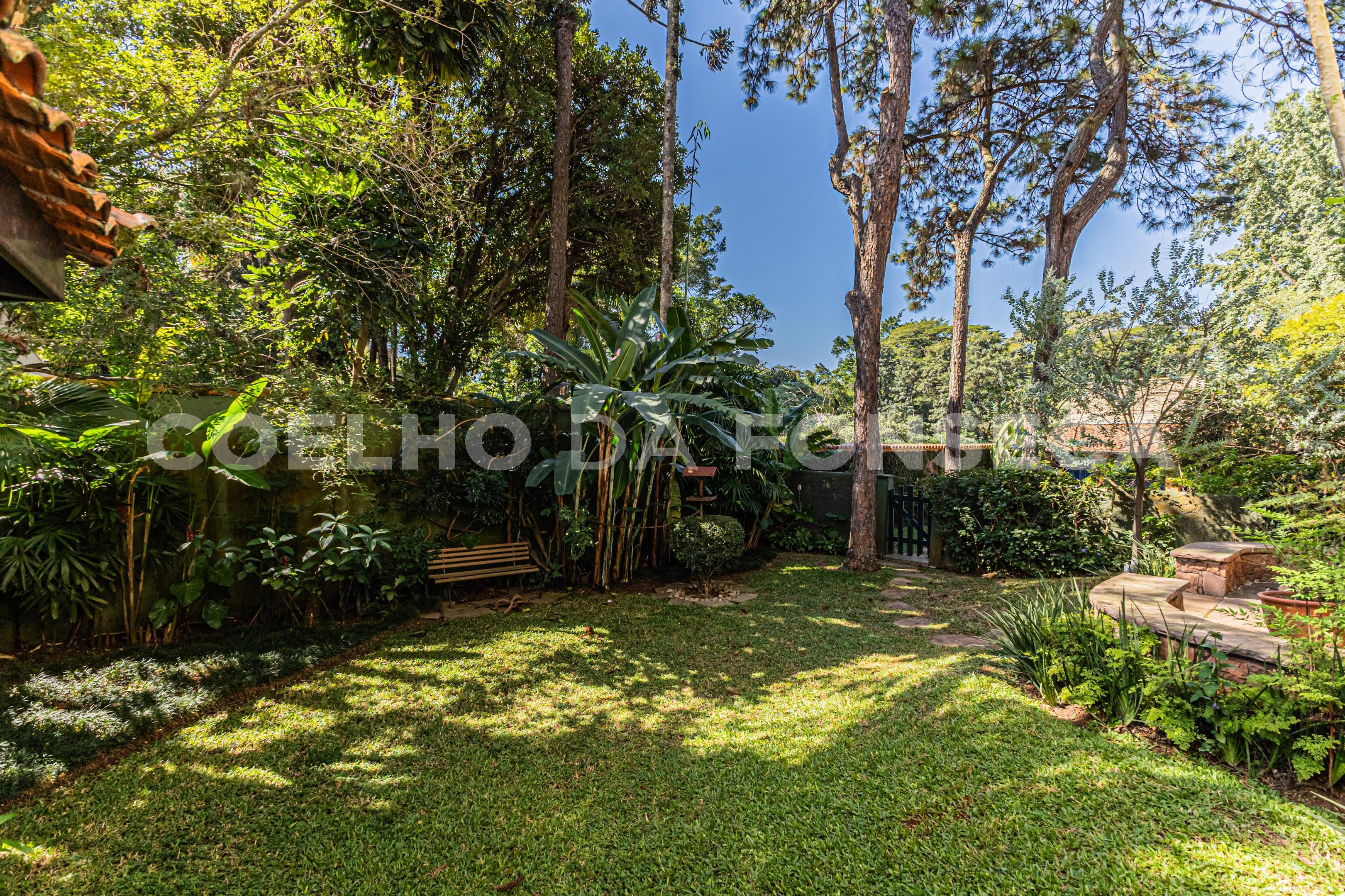 Jardim