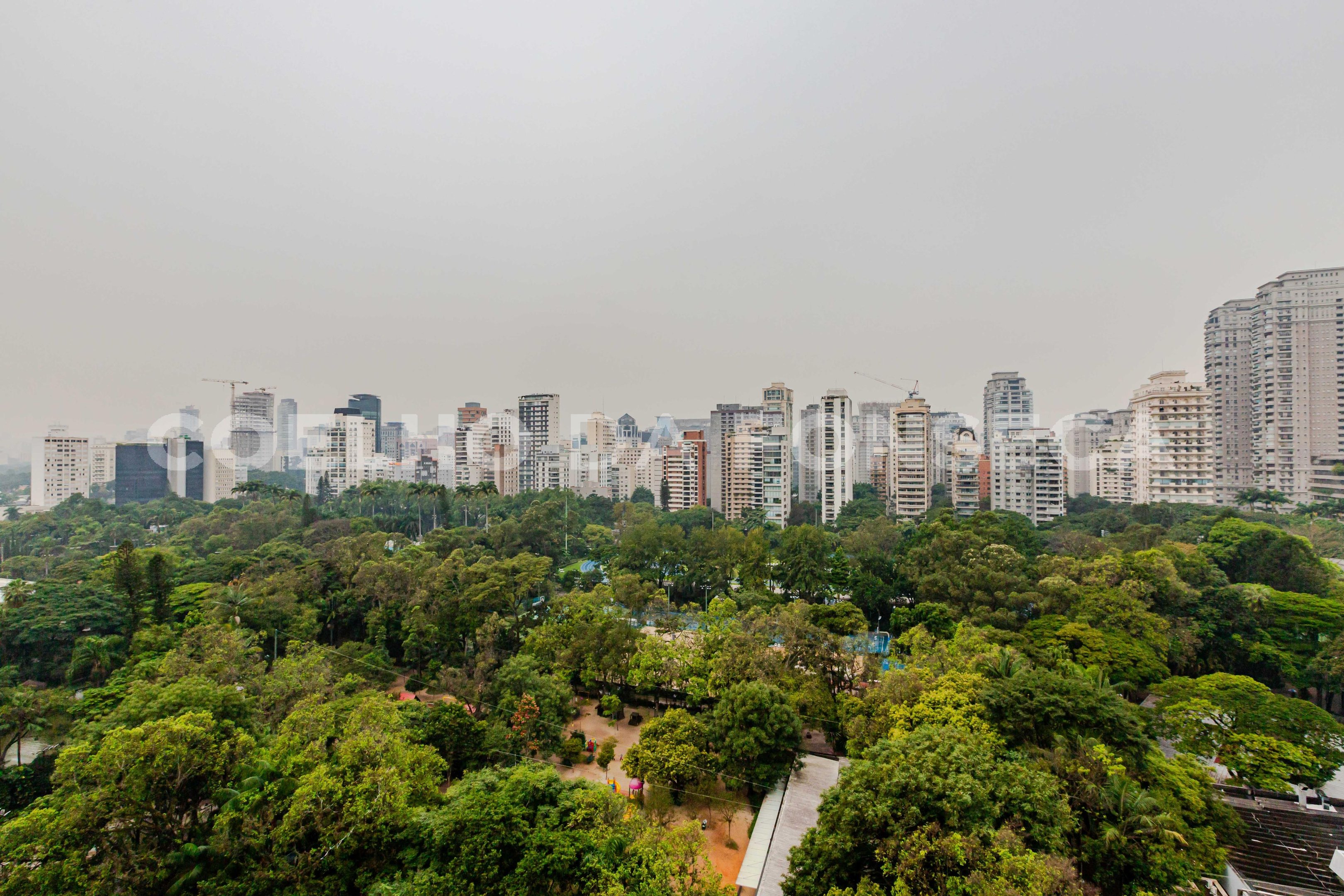 Vista