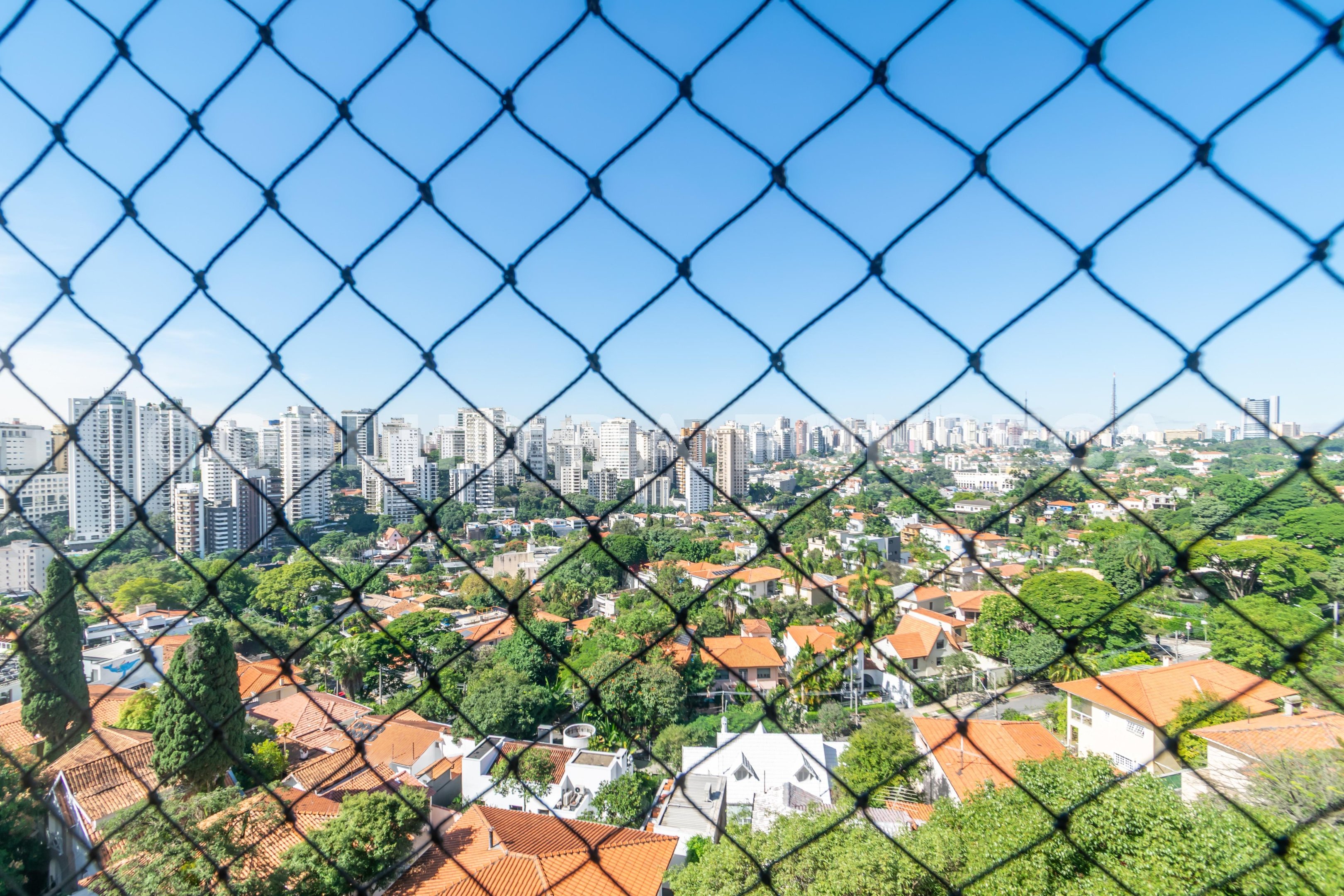 Vista