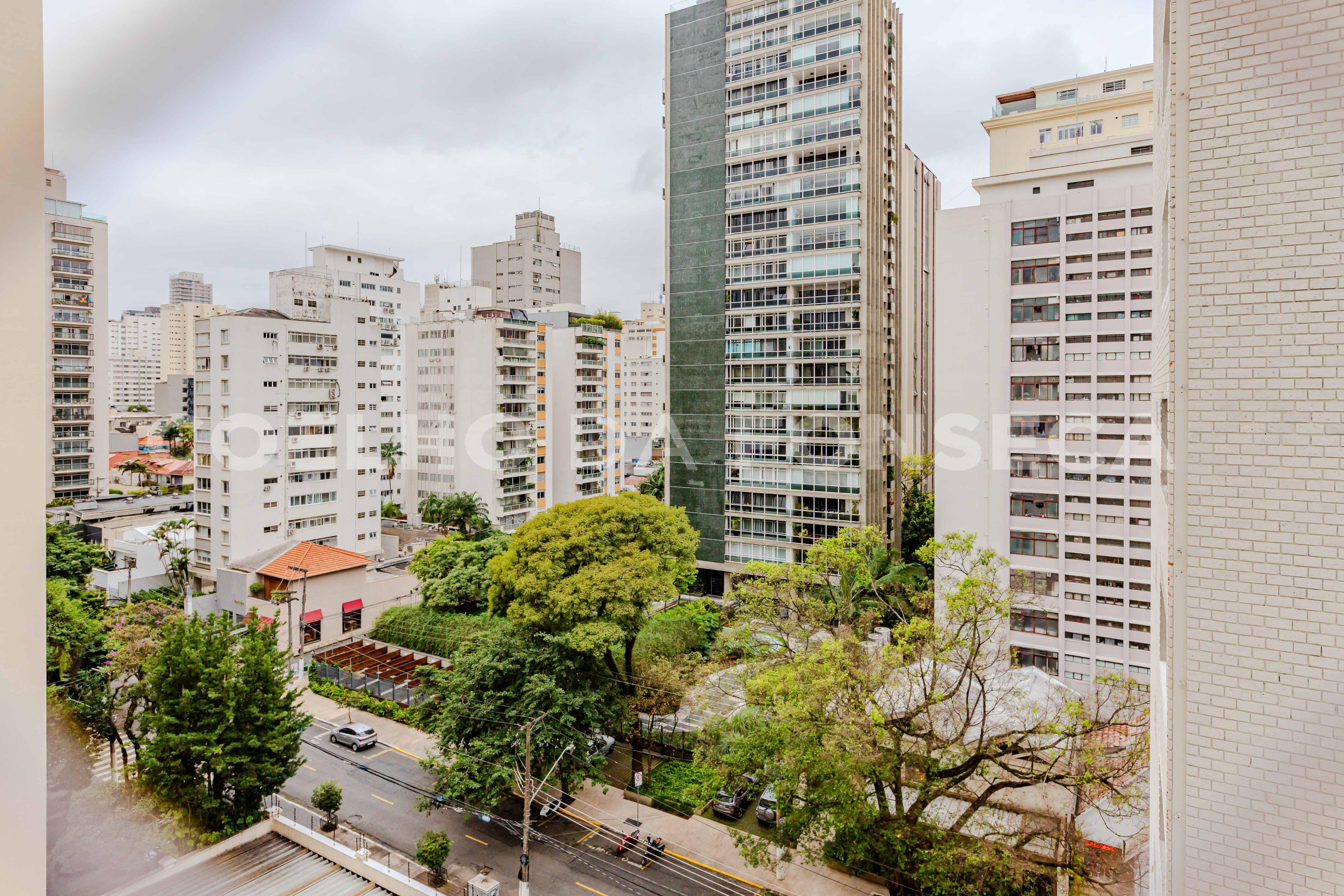 Vista