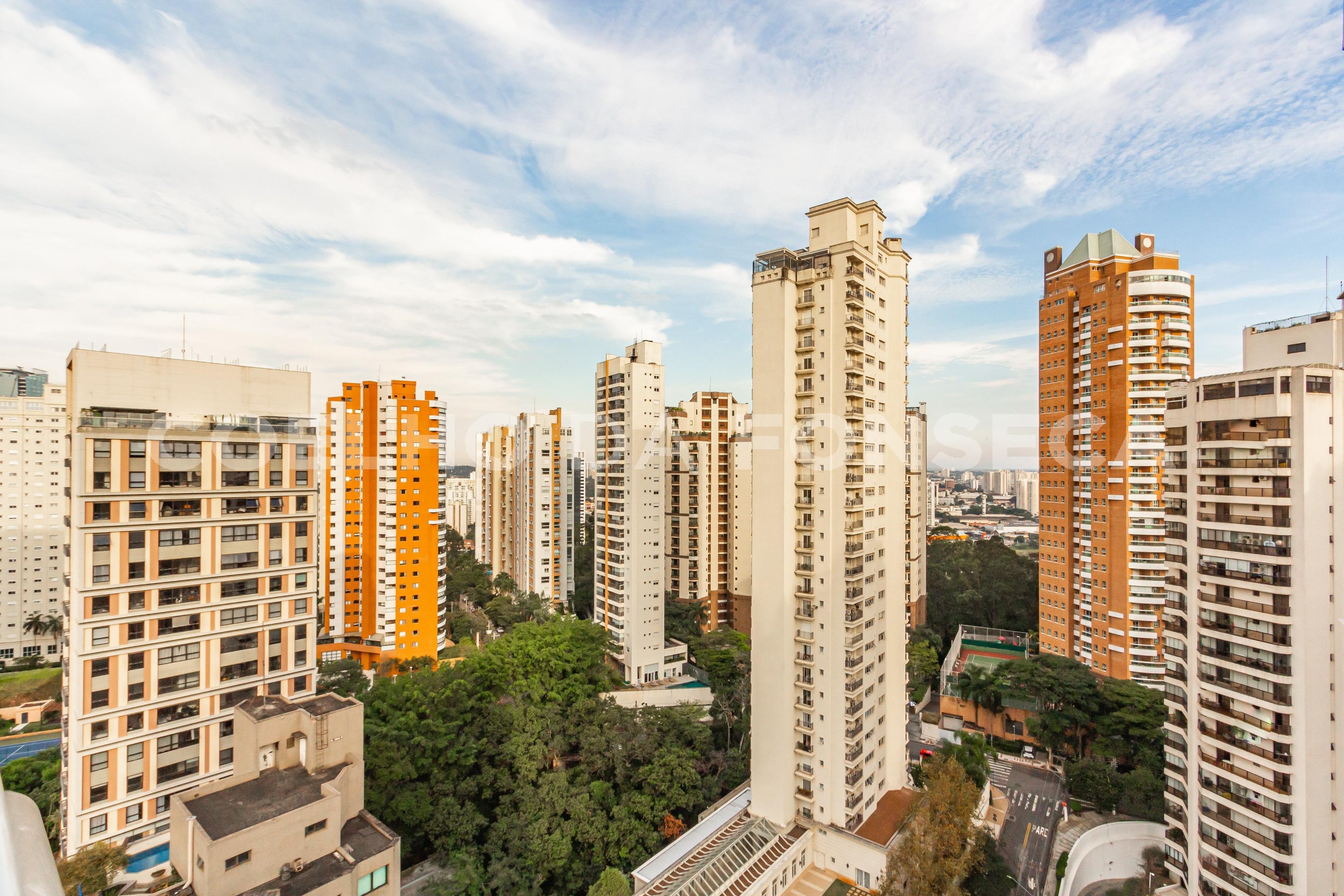 Vista