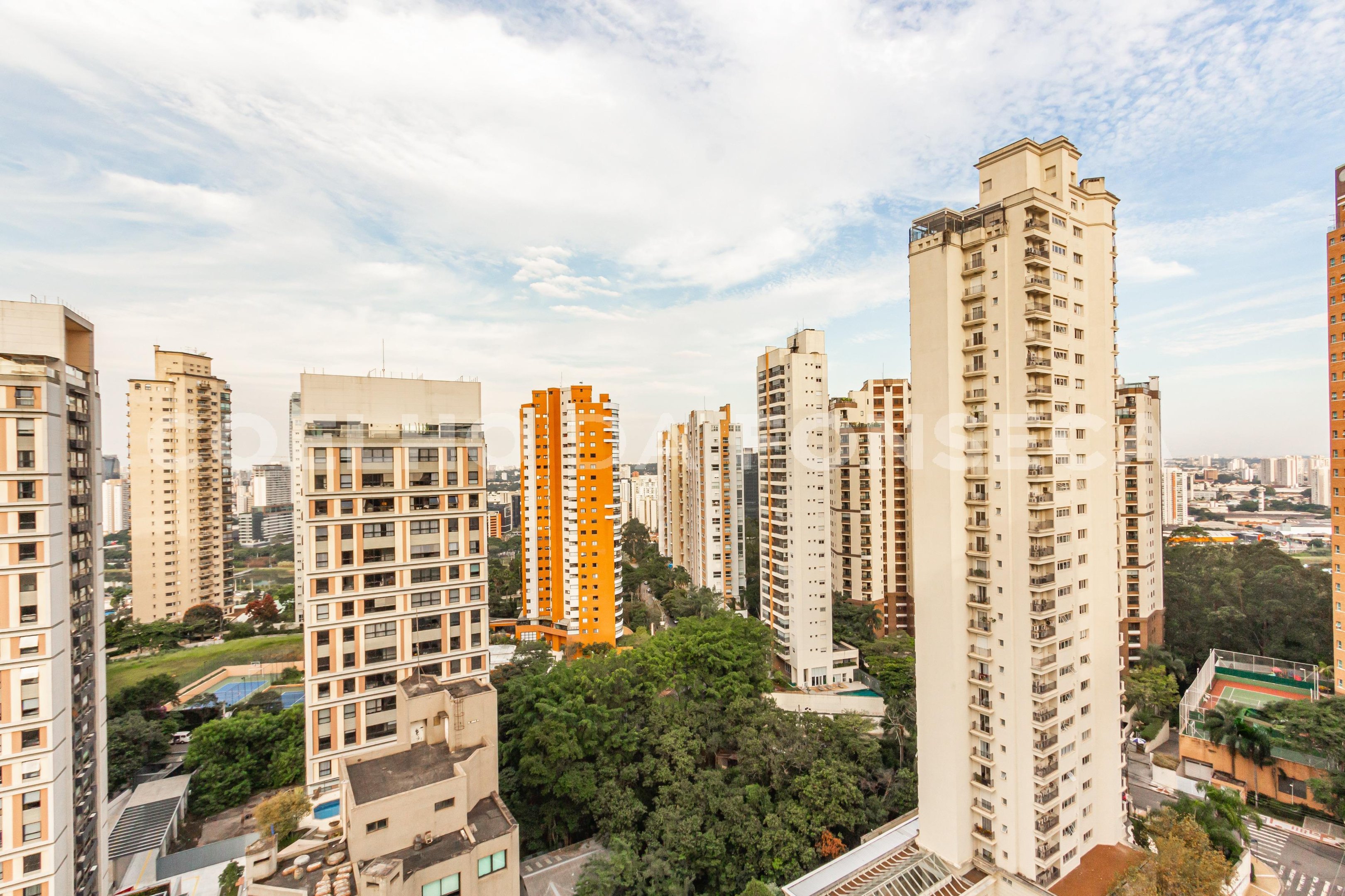 Vista