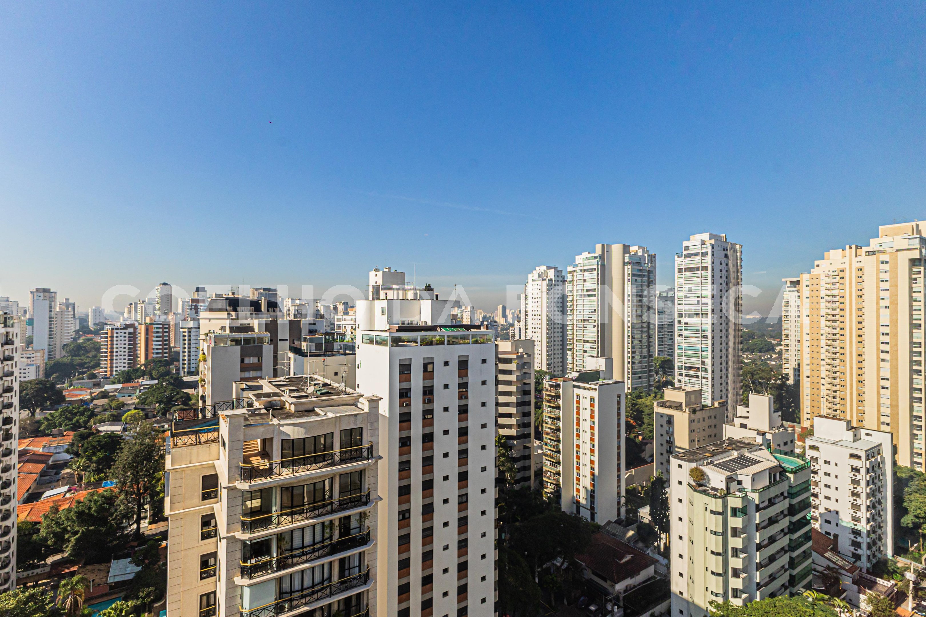 Vista
