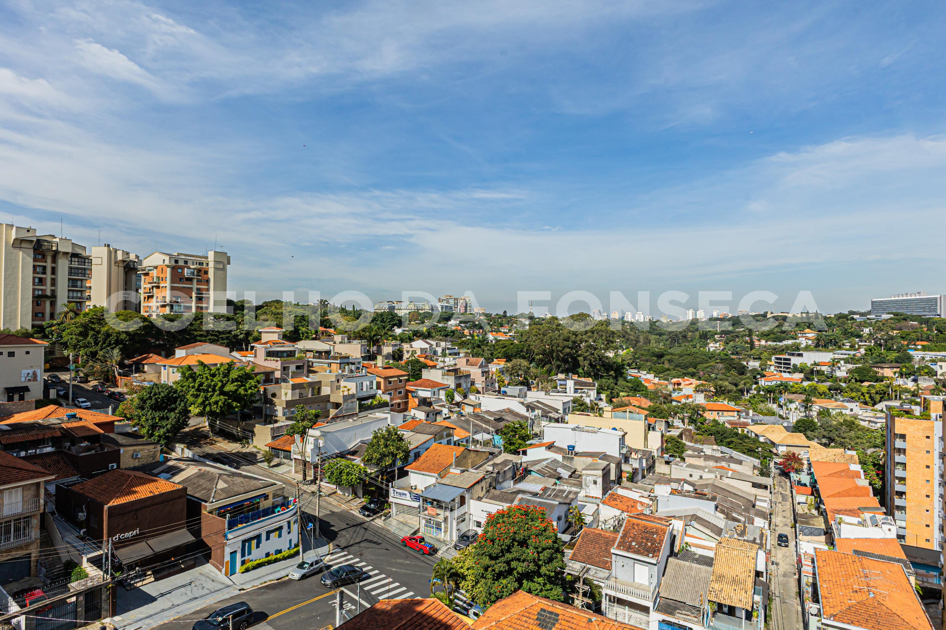 Vista