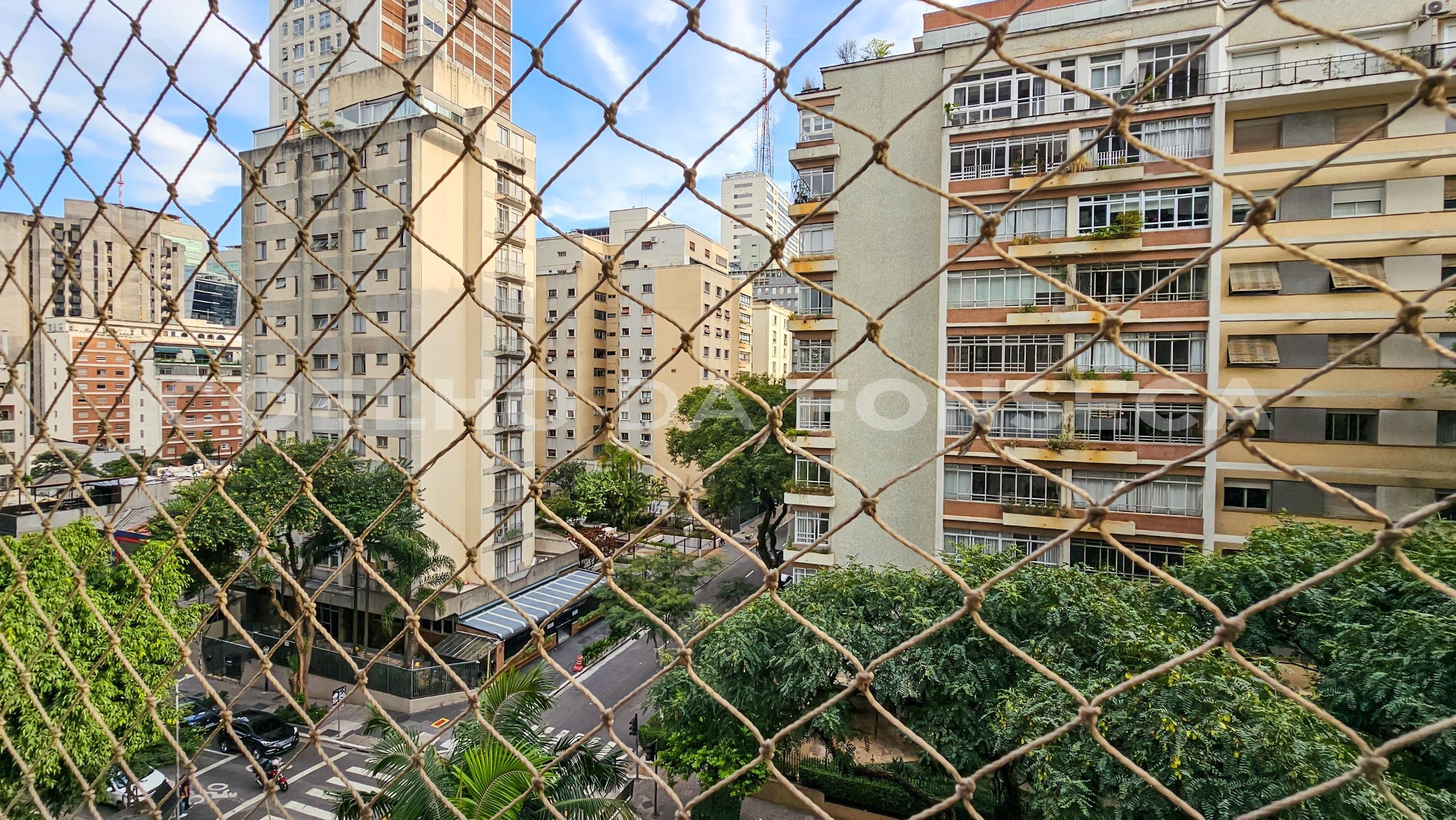 Vista