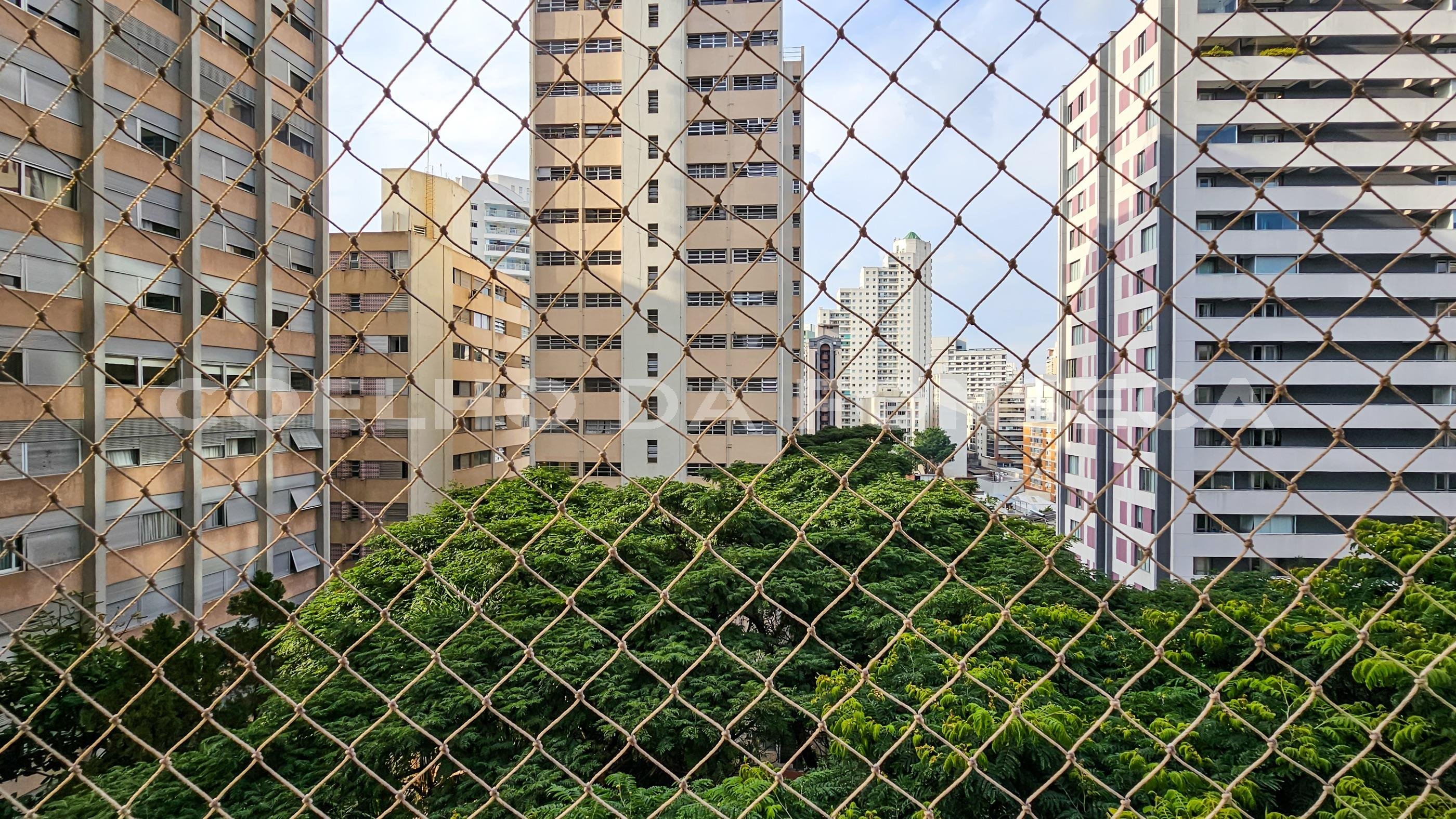 Vista