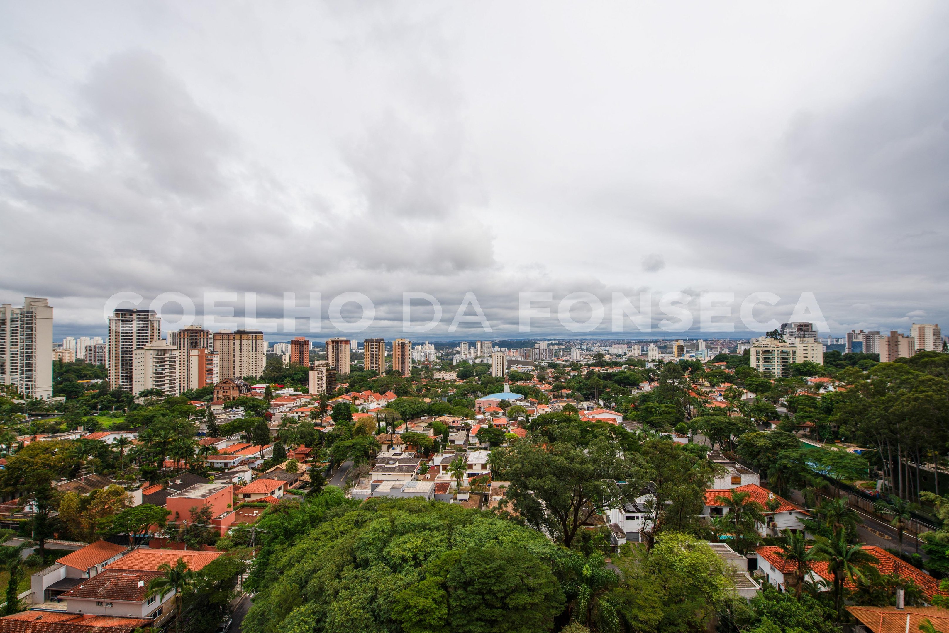 Vista