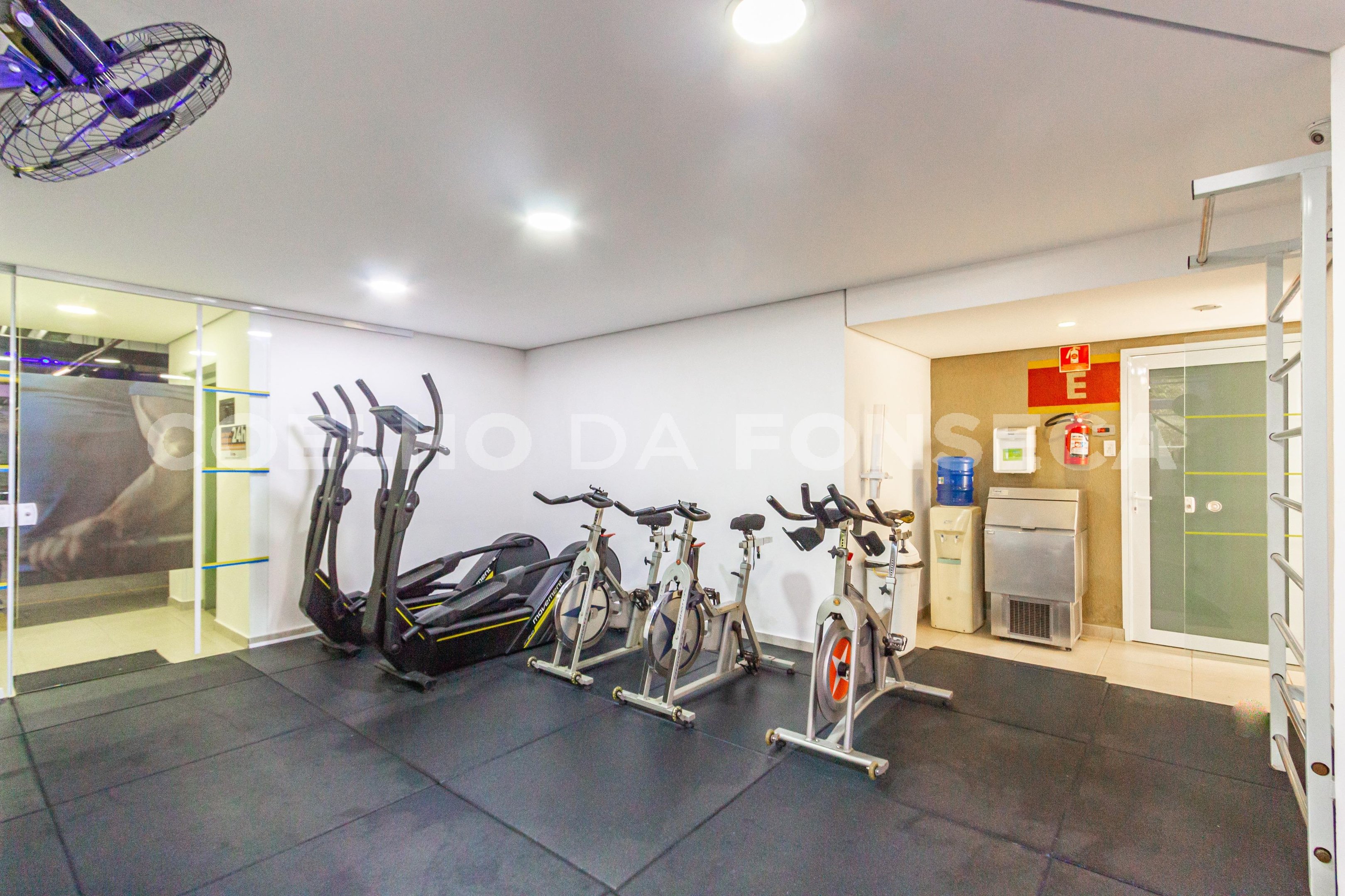 Fitness