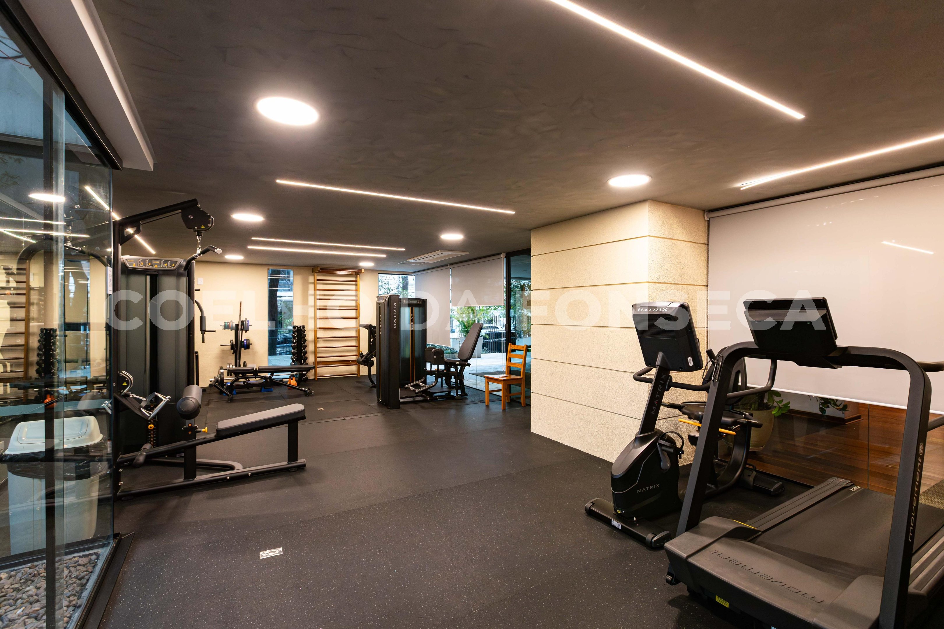 Fitness
