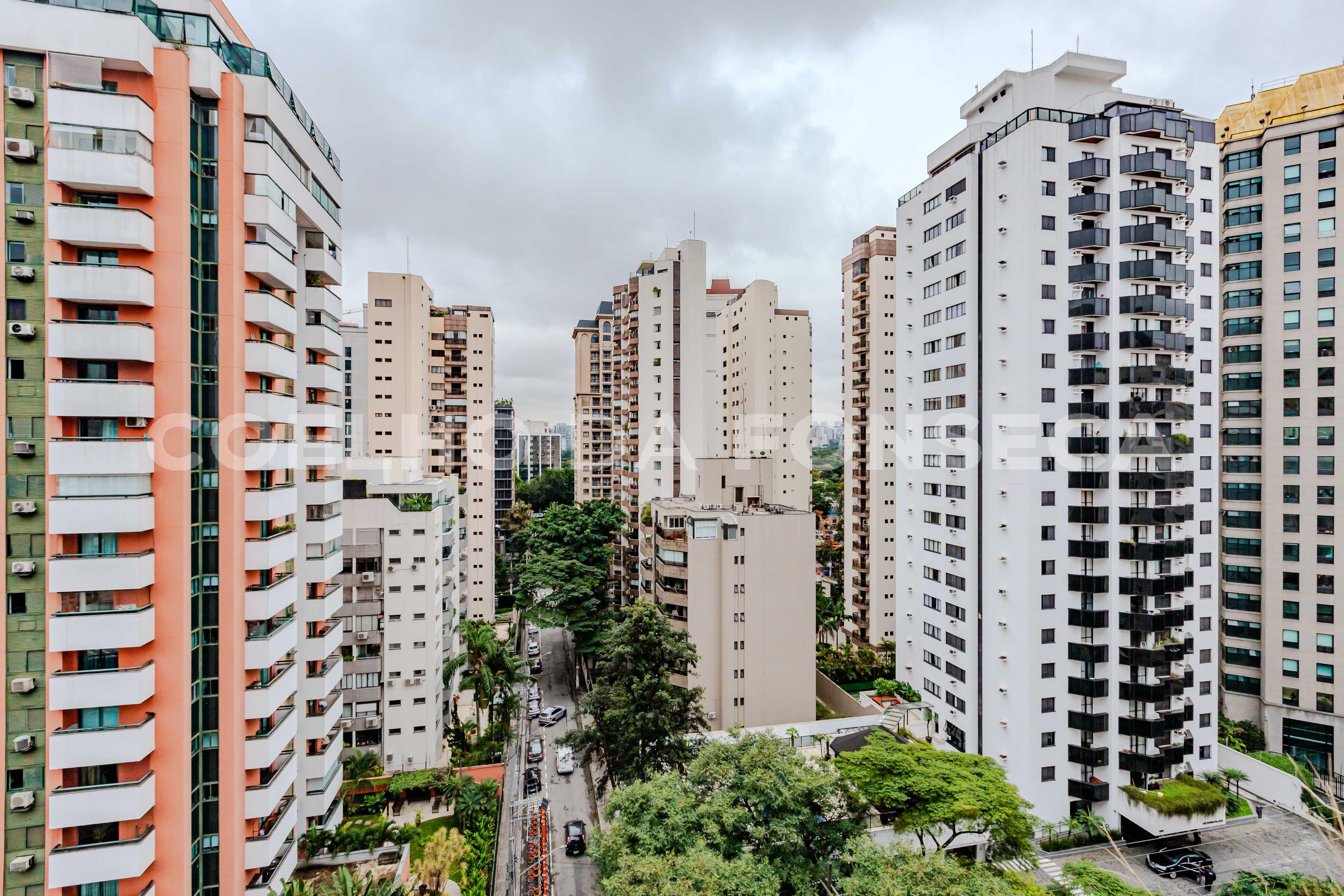 Vista
