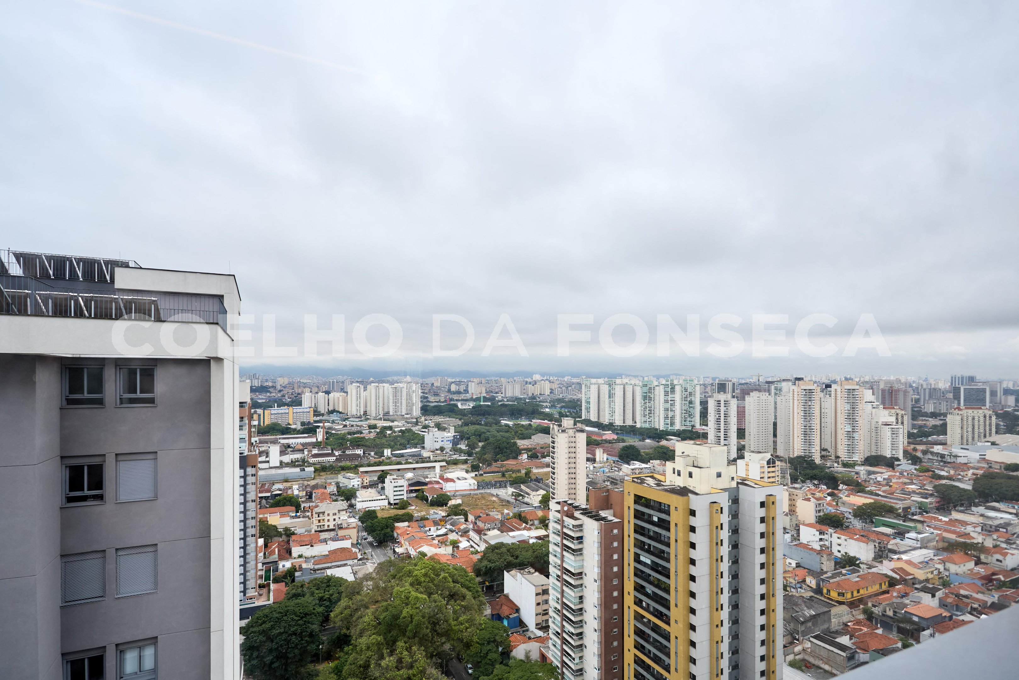 Vista