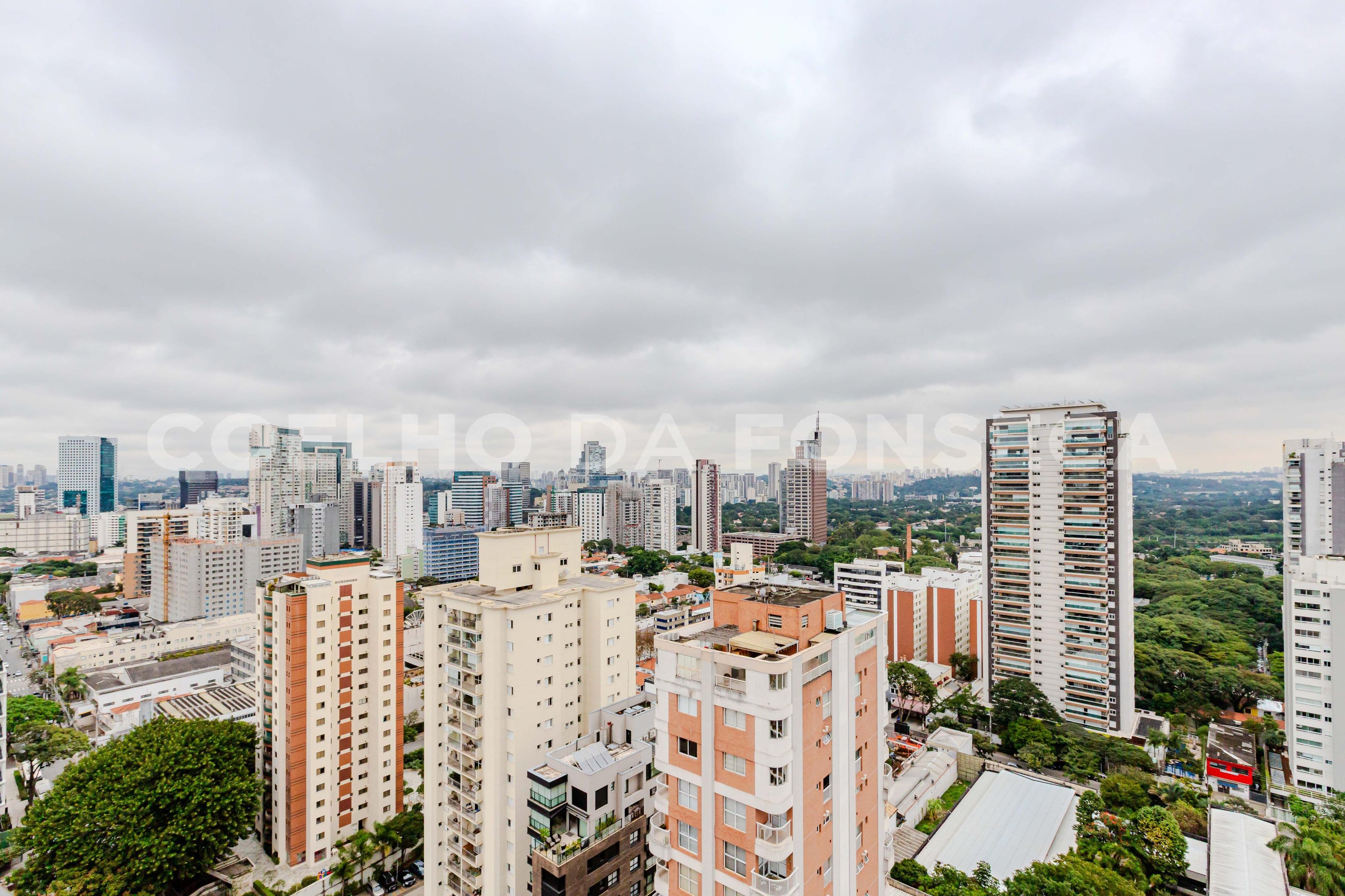 Vista
