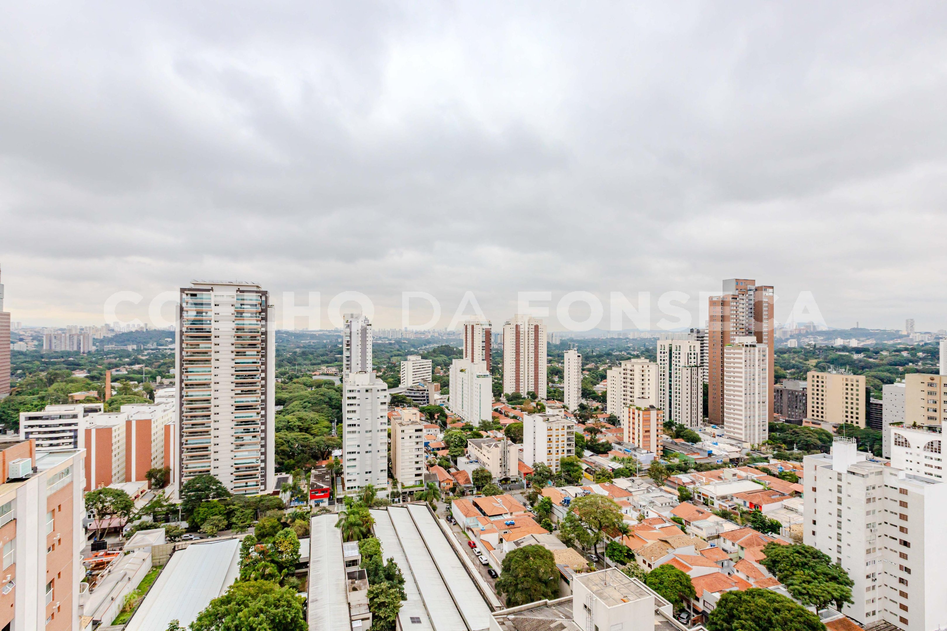 Vista