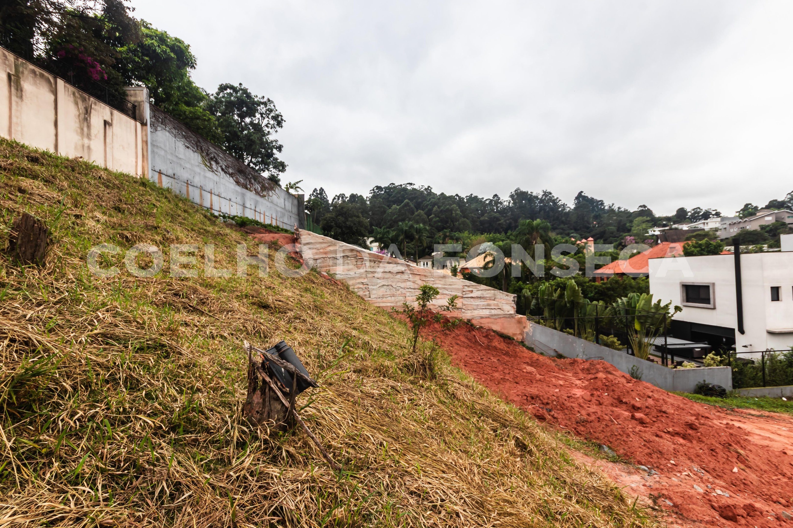Terreno