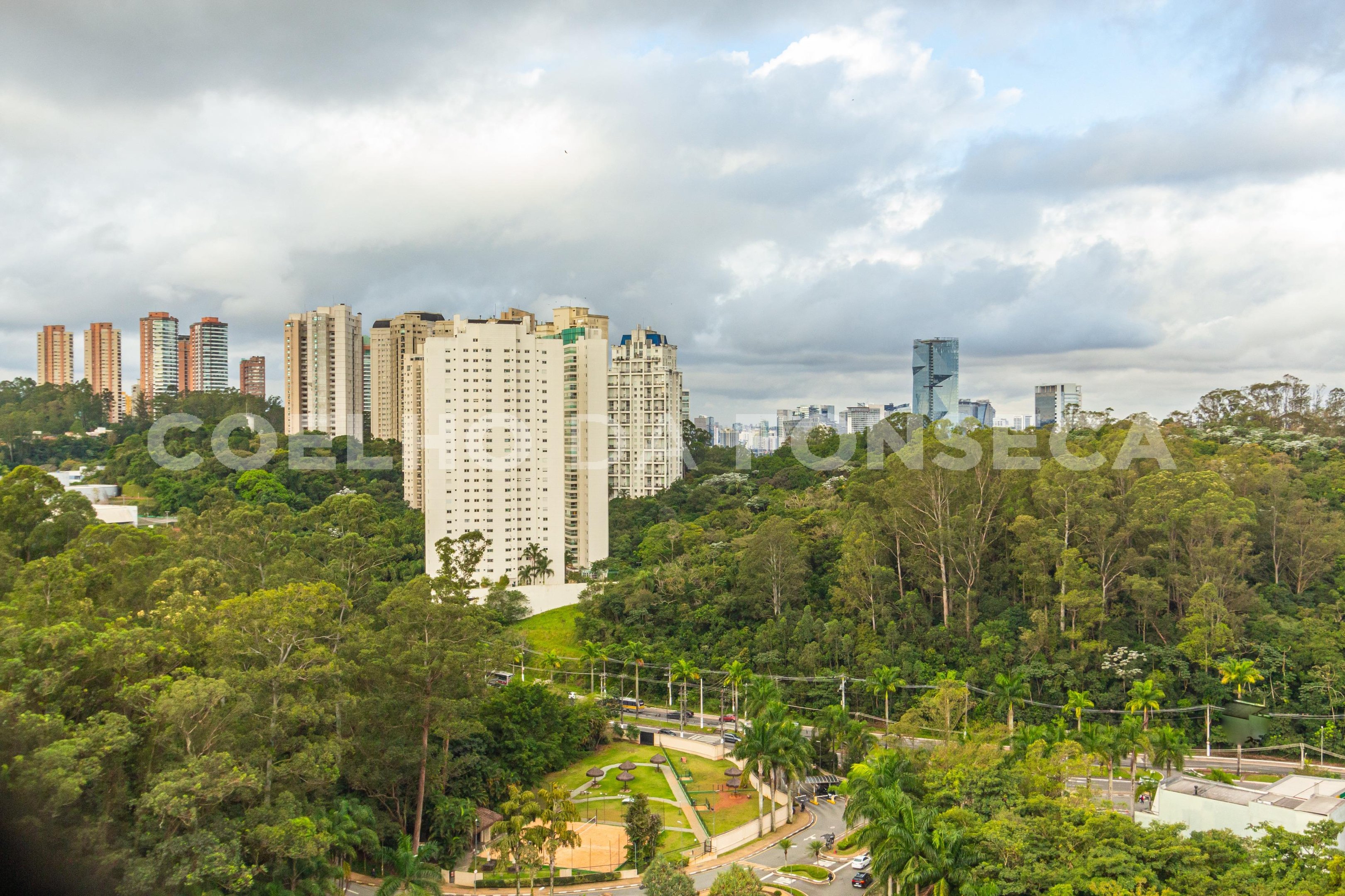 Vista