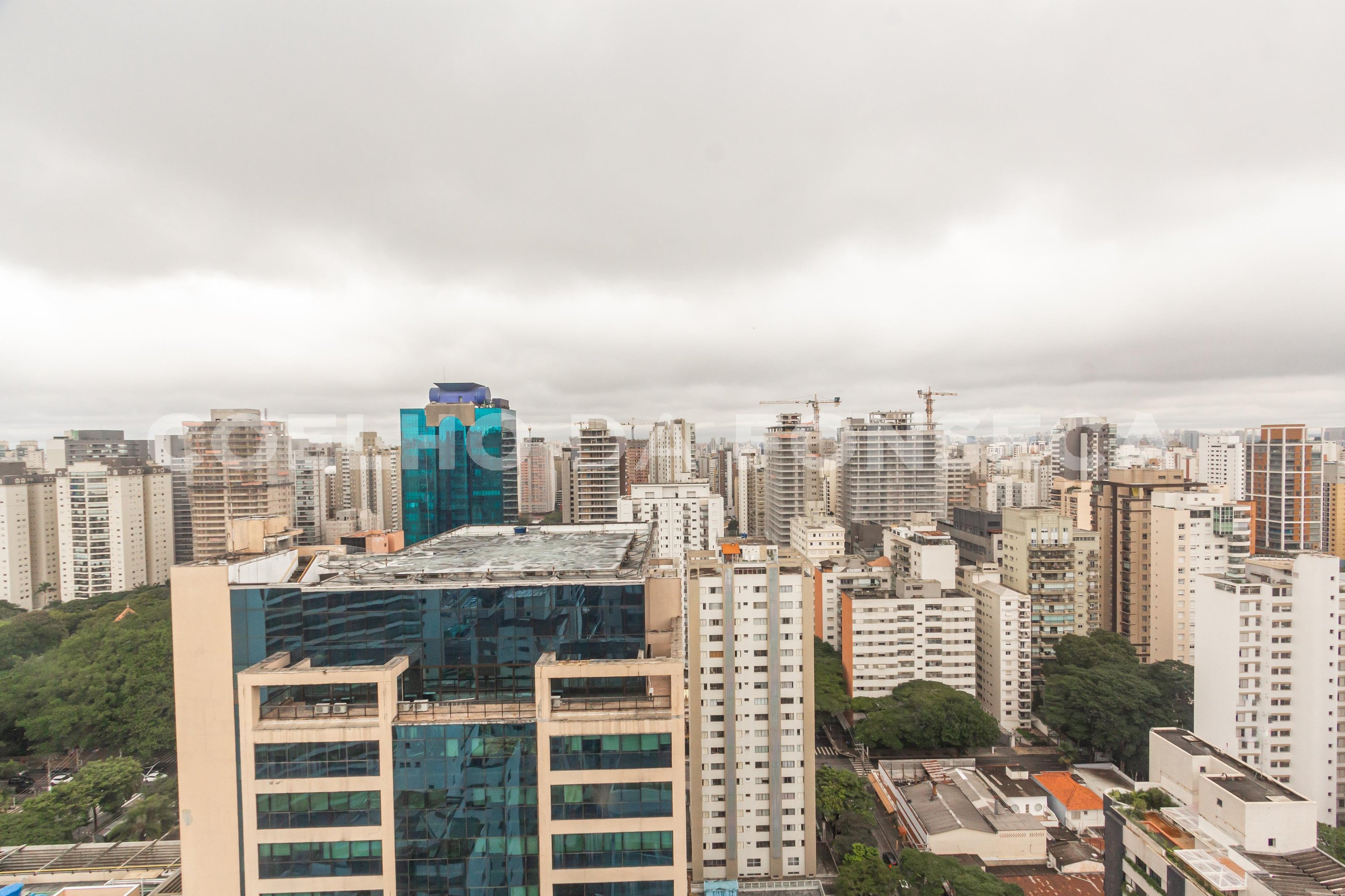 Vista