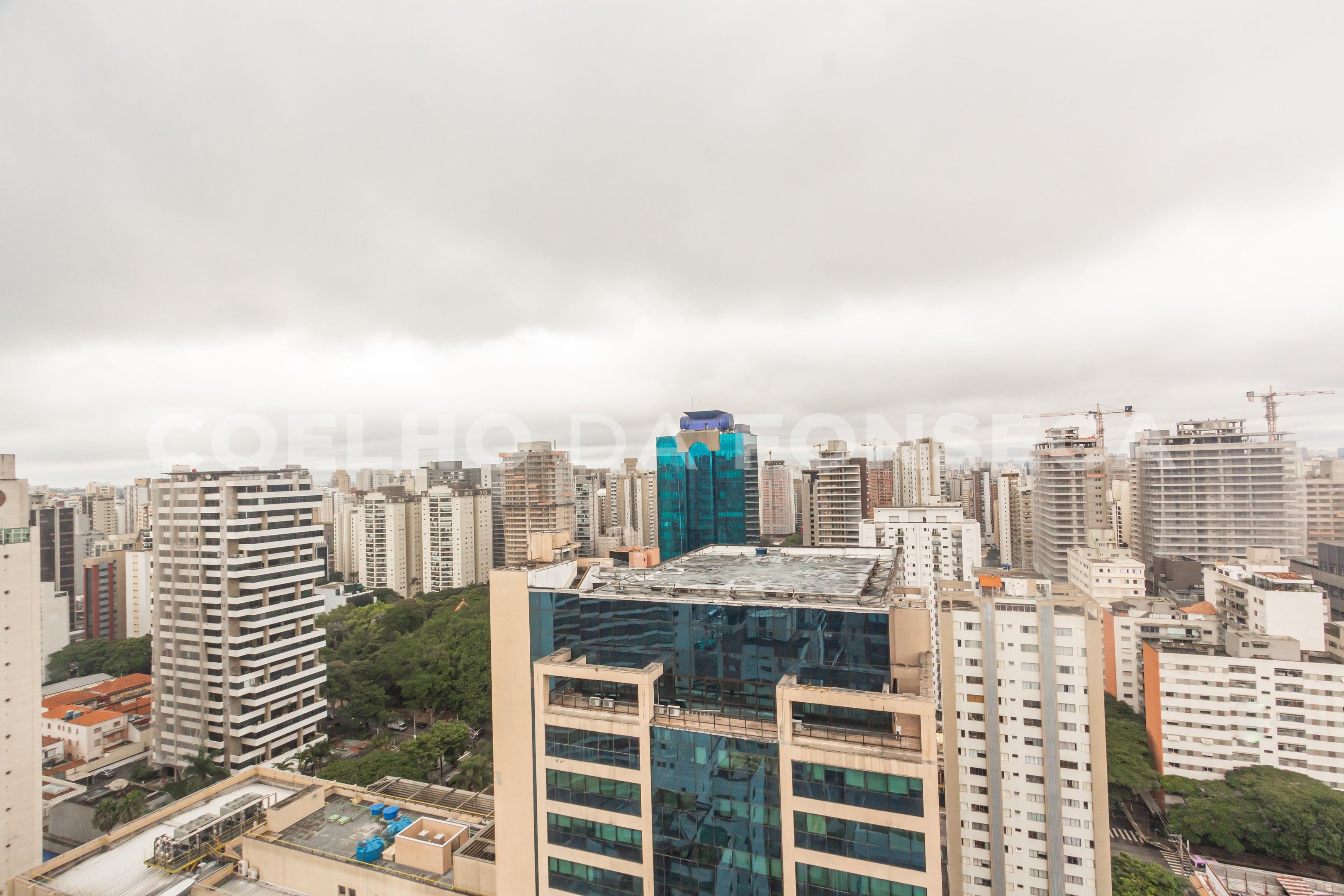 Vista