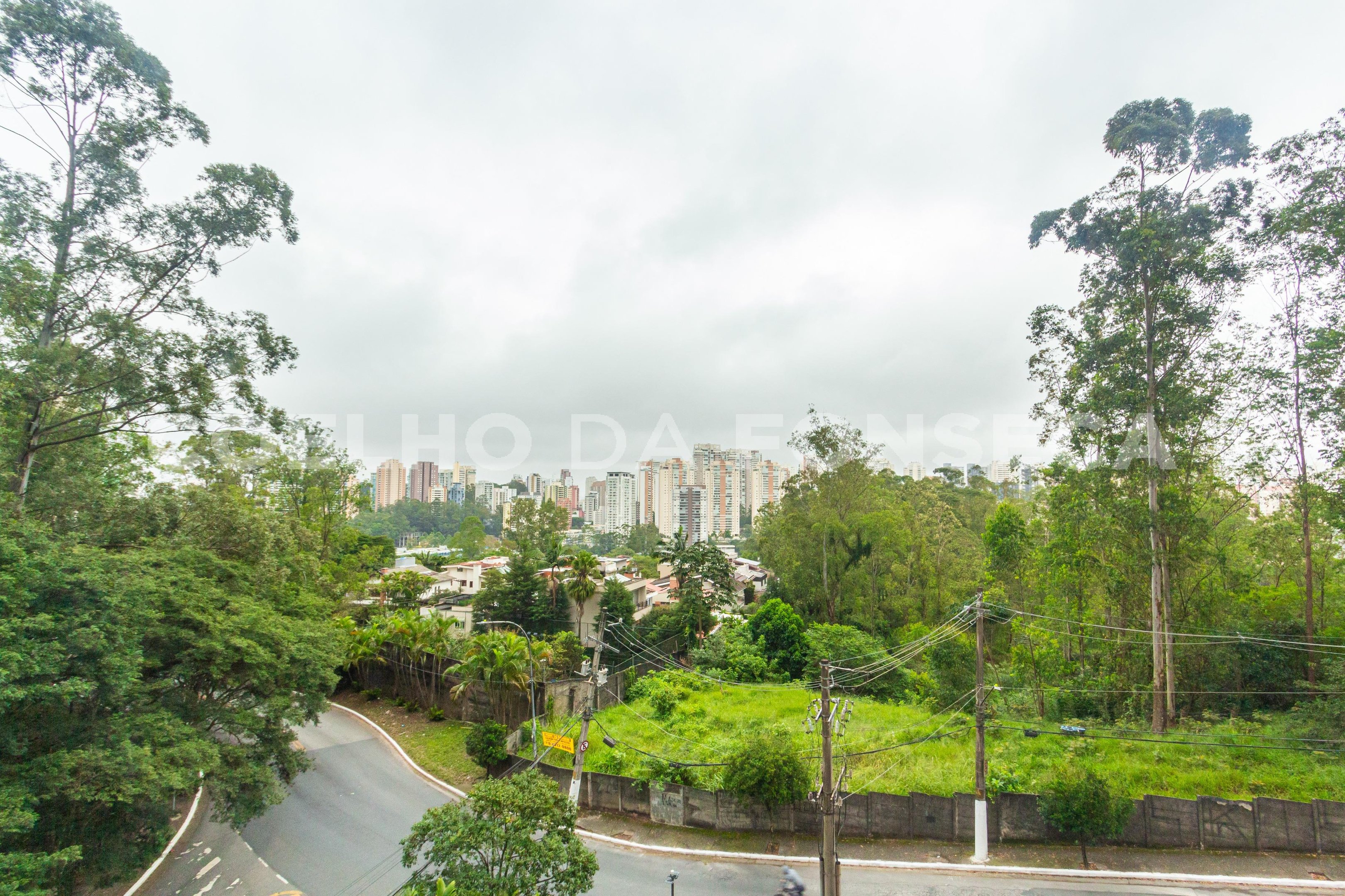 Vista