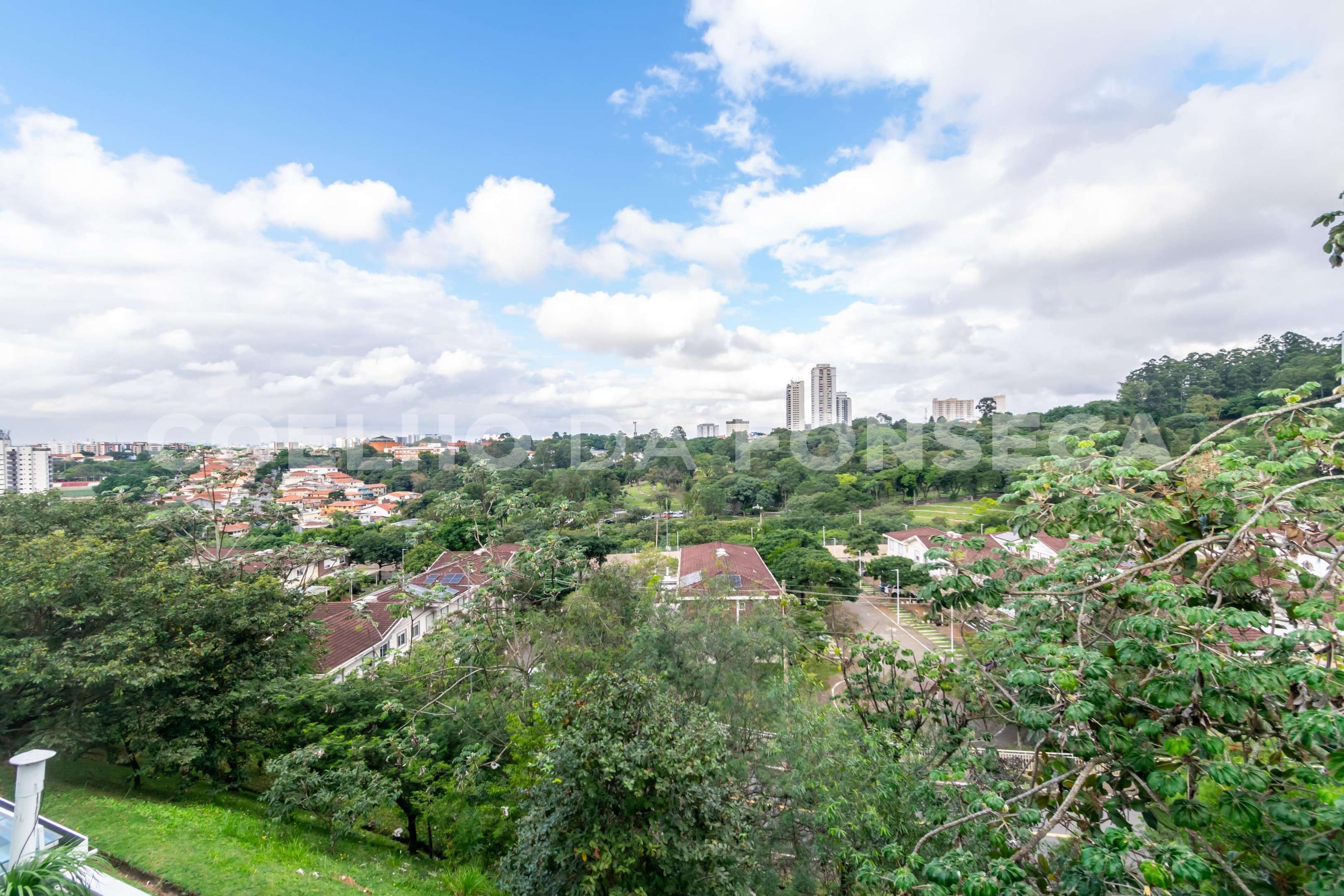 Vista
