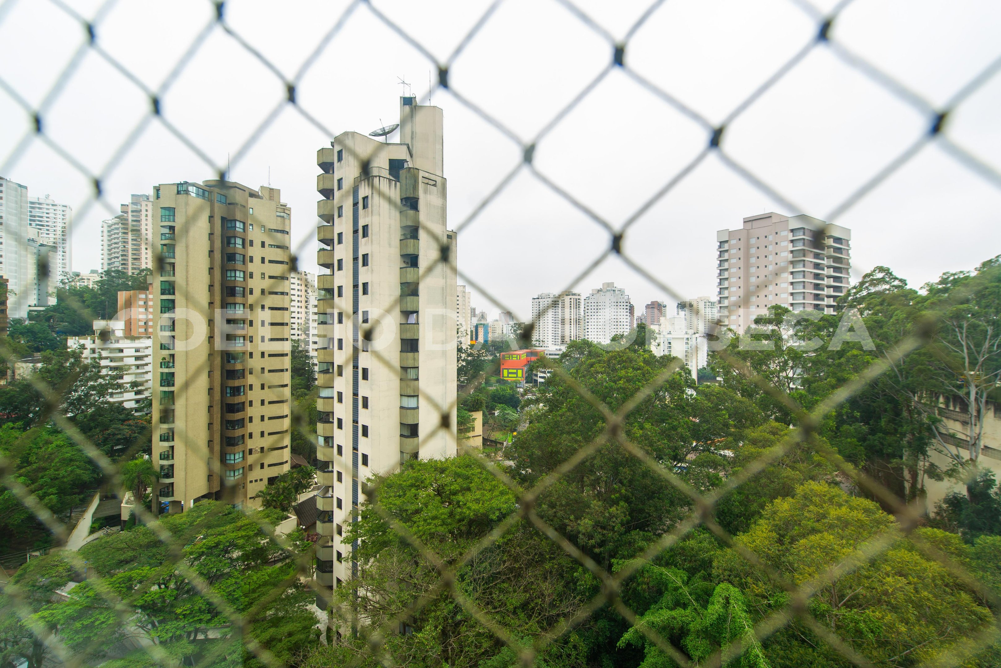 Vista