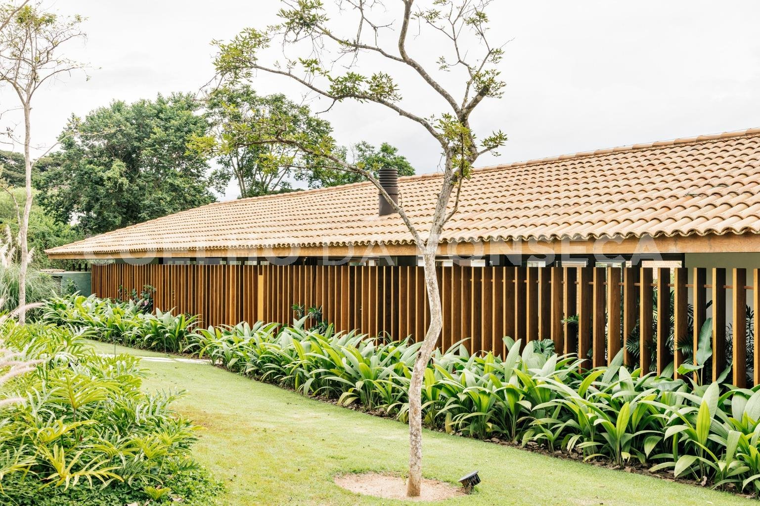 Jardim