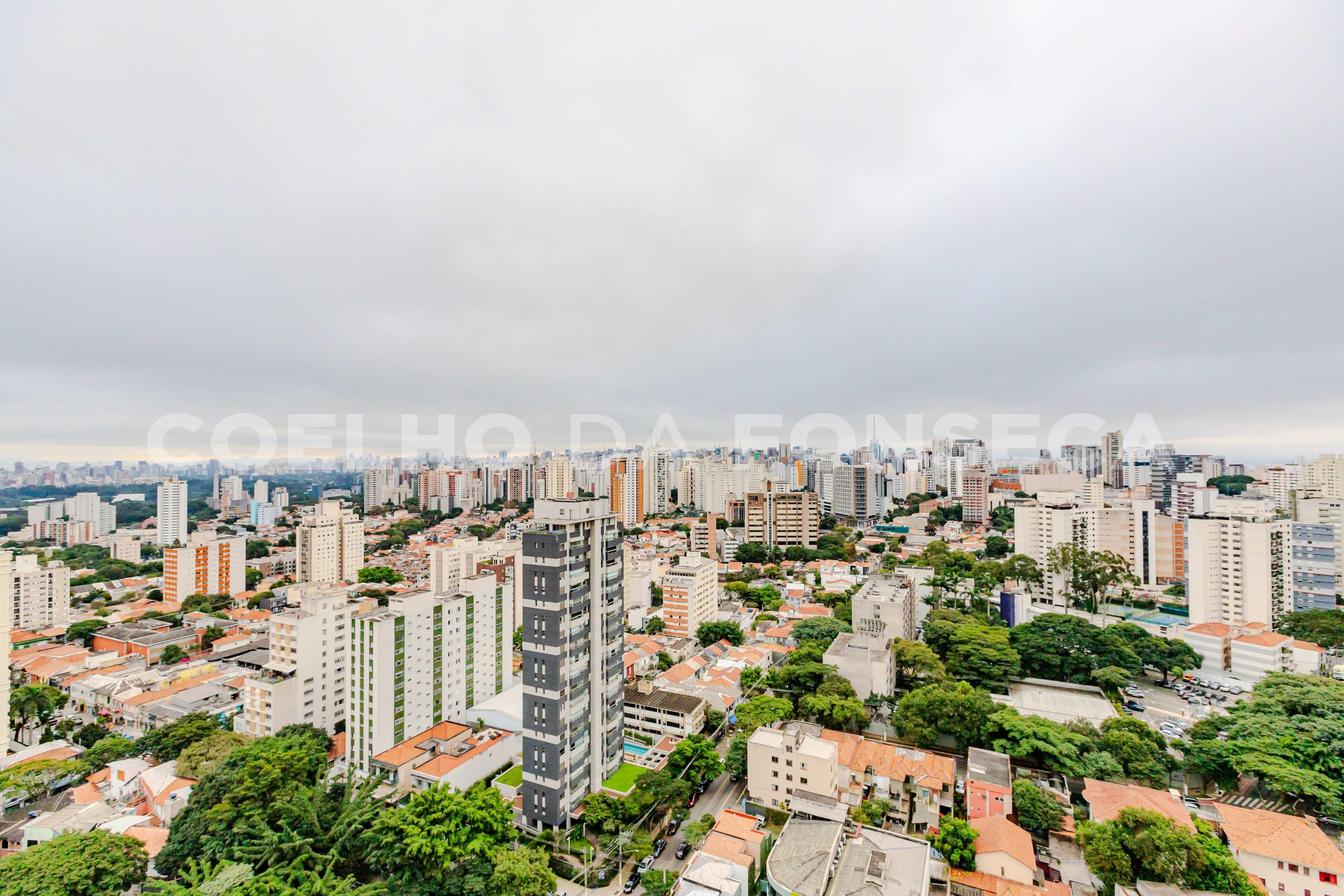 Vista